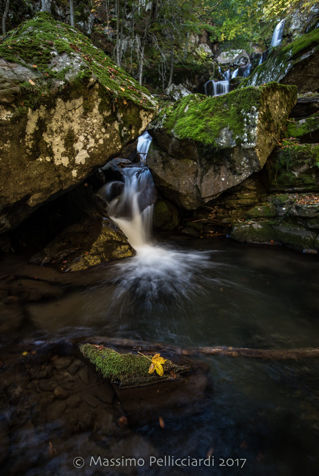 Il peso dei sassi e la leggerezza della foglia