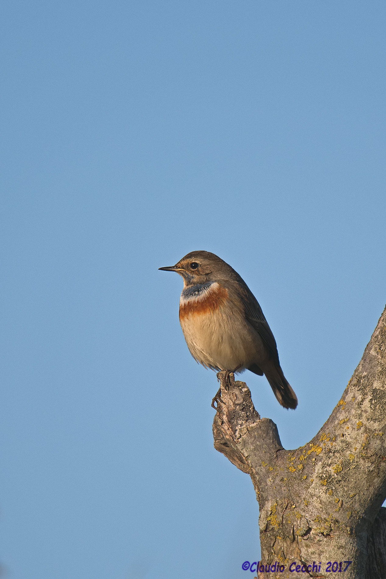 I squeeze on a cutlery