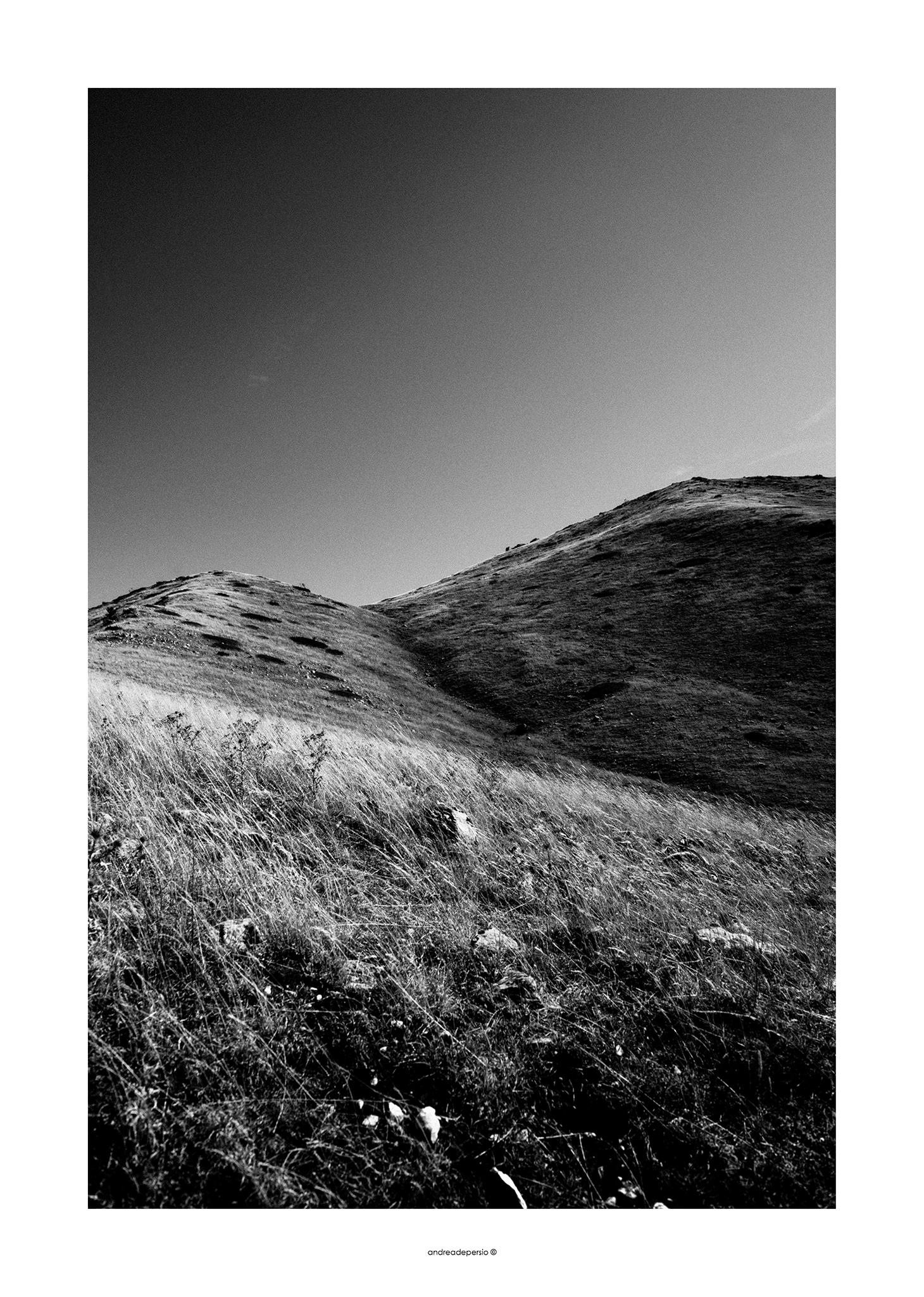 Black and white shapes!