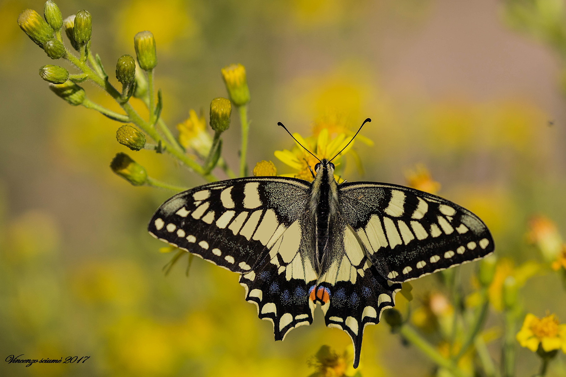 Even if it's always beautiful!