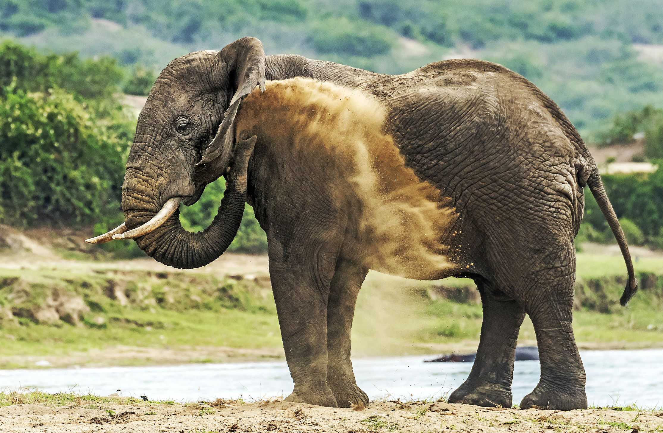 Ancora sul Kazinga chanel