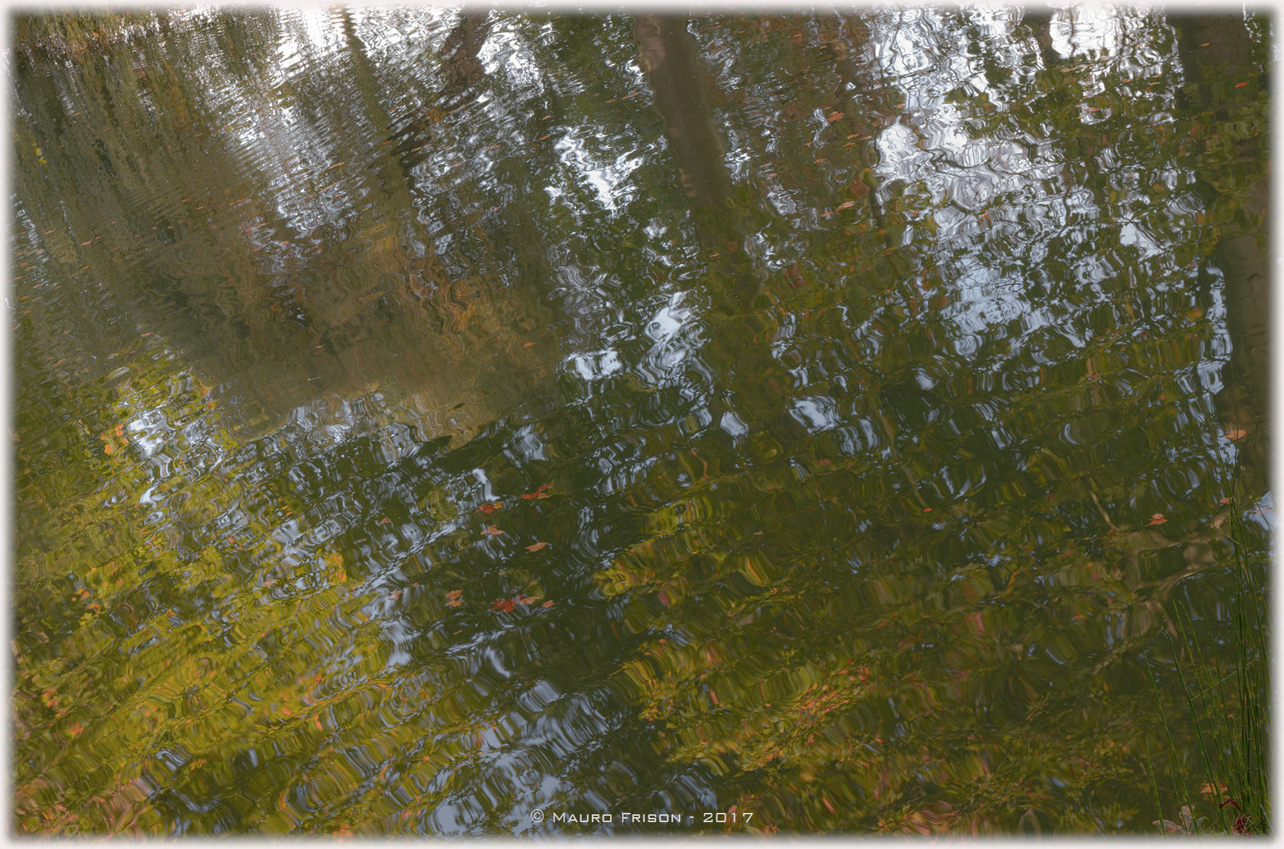 Autumn Reflections