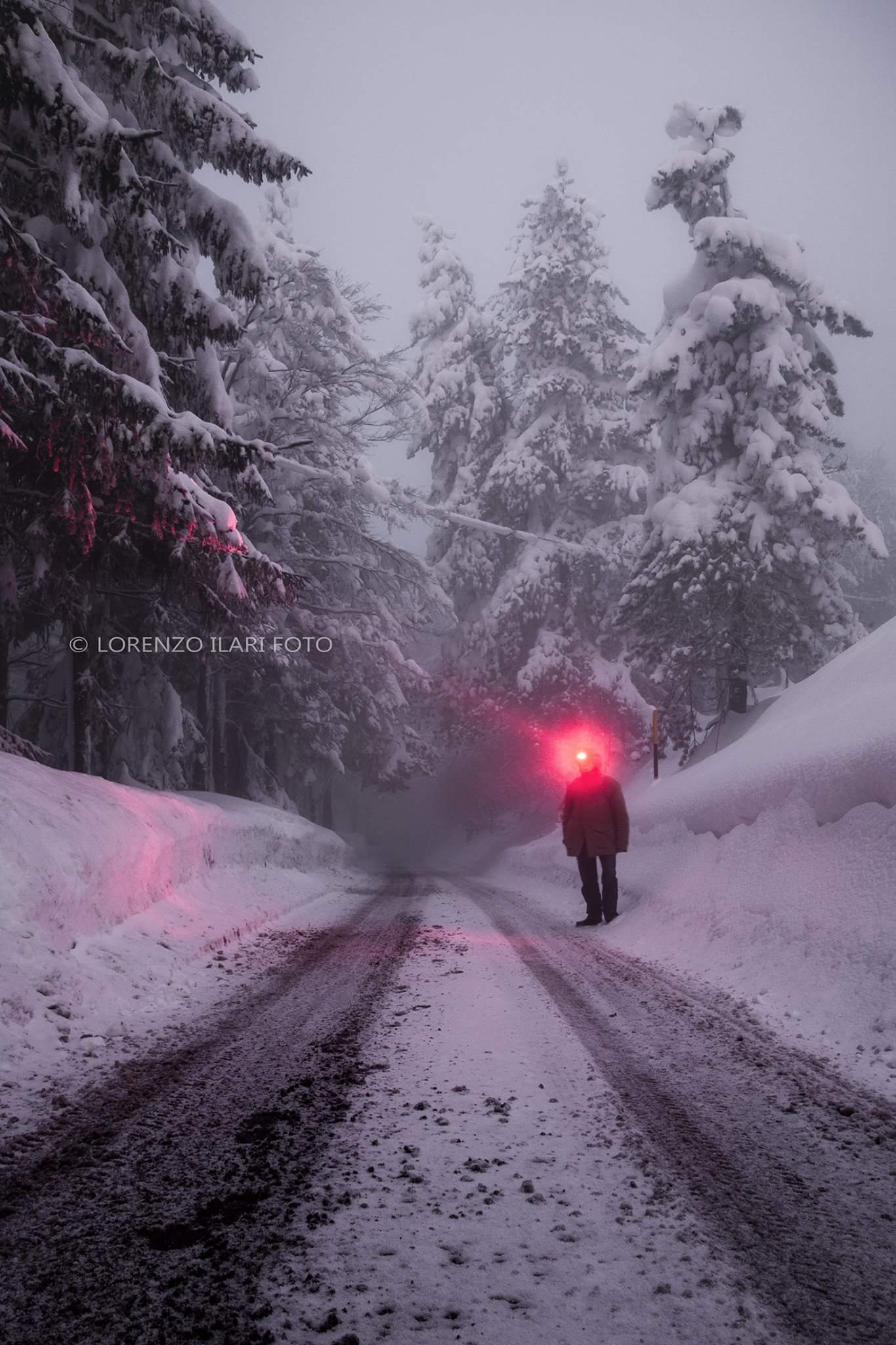 Gentlemen of the night