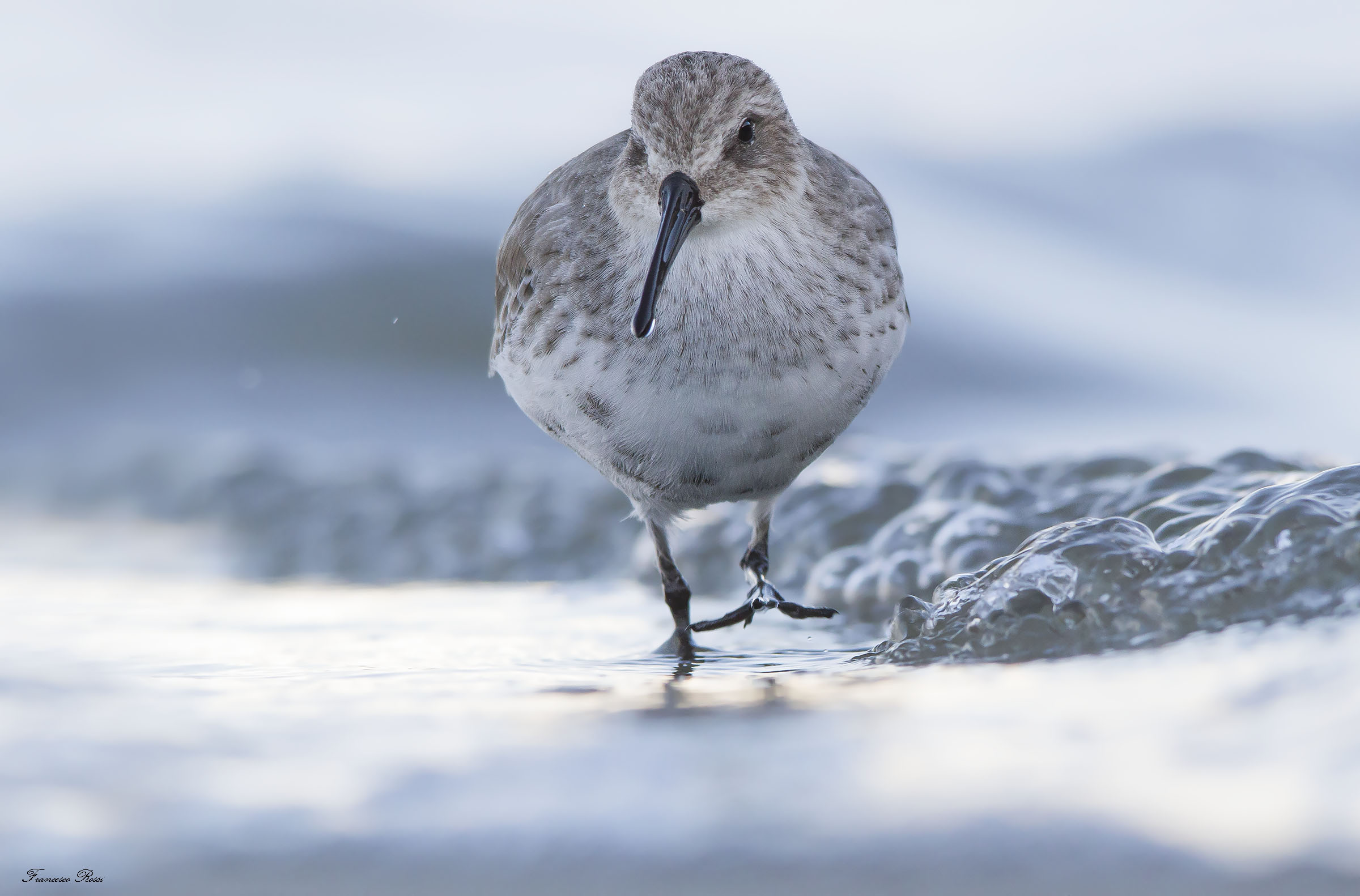 On the ridge of the wave