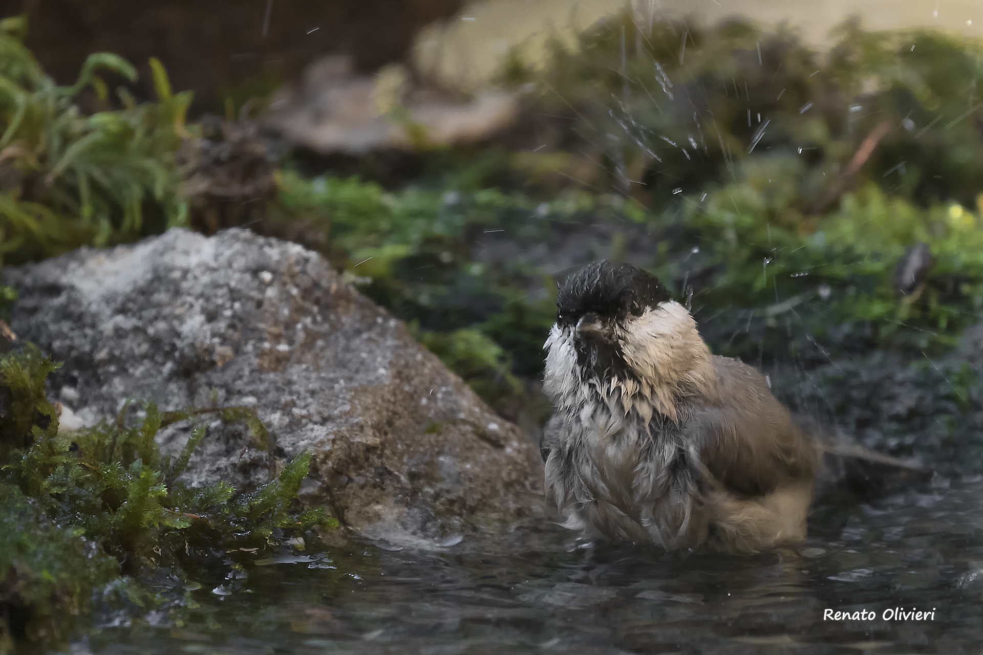 Una lavatina e via....