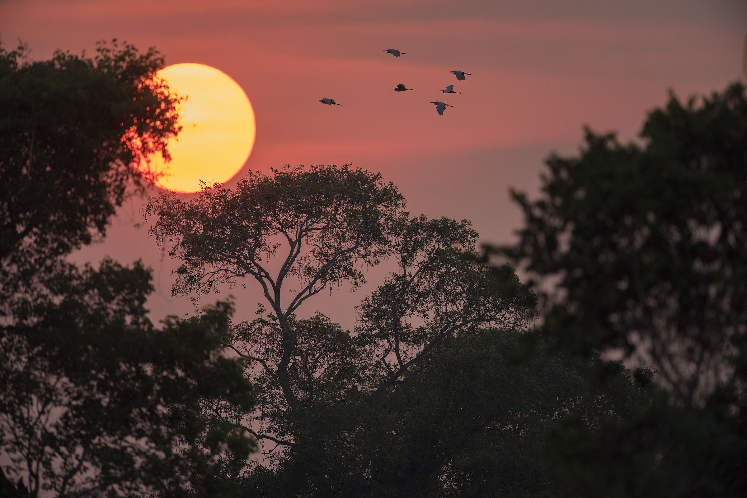 Tramonto al Pantanal