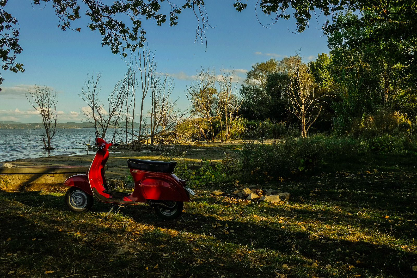 vespa e natura