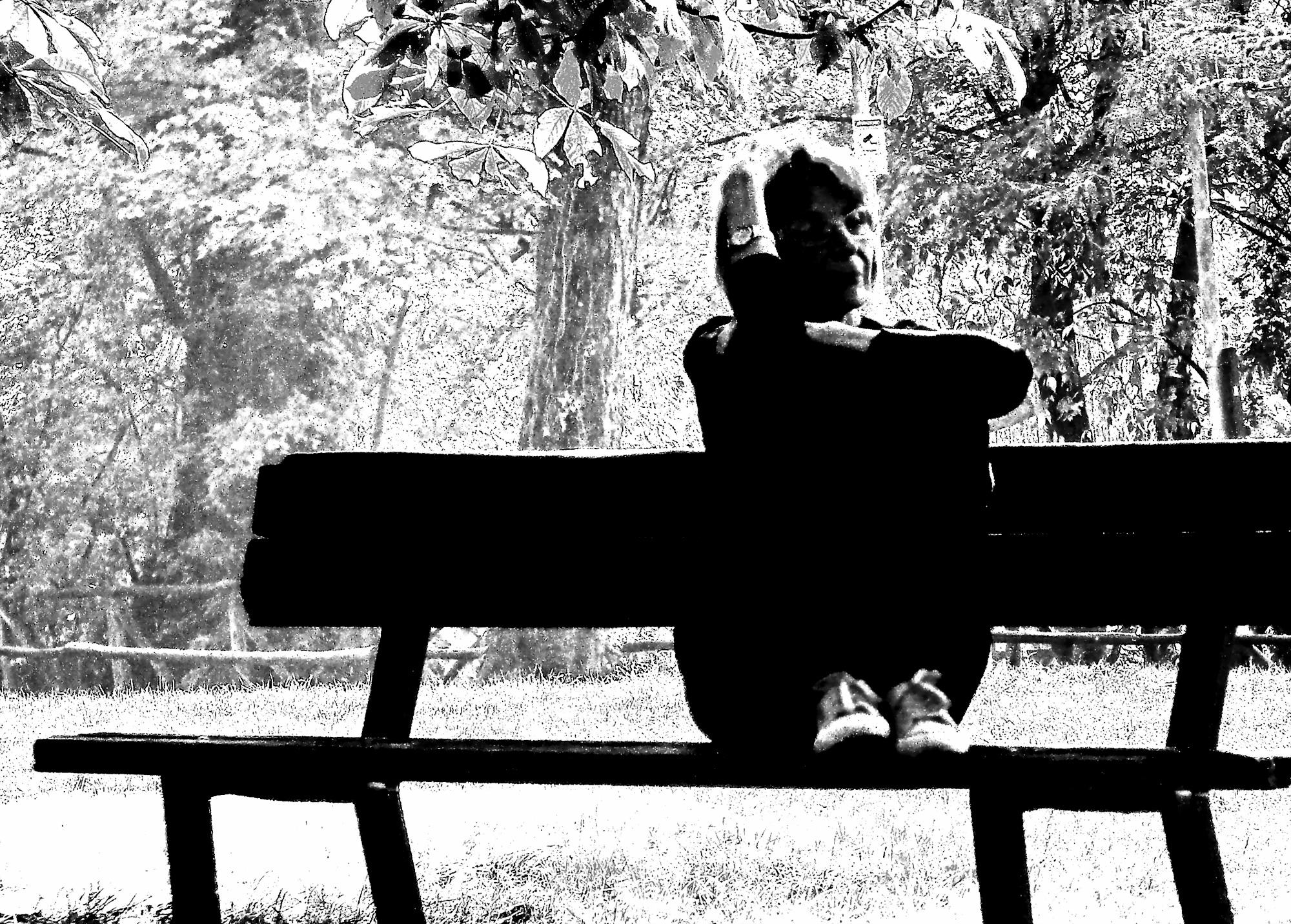 dreaming of a better world