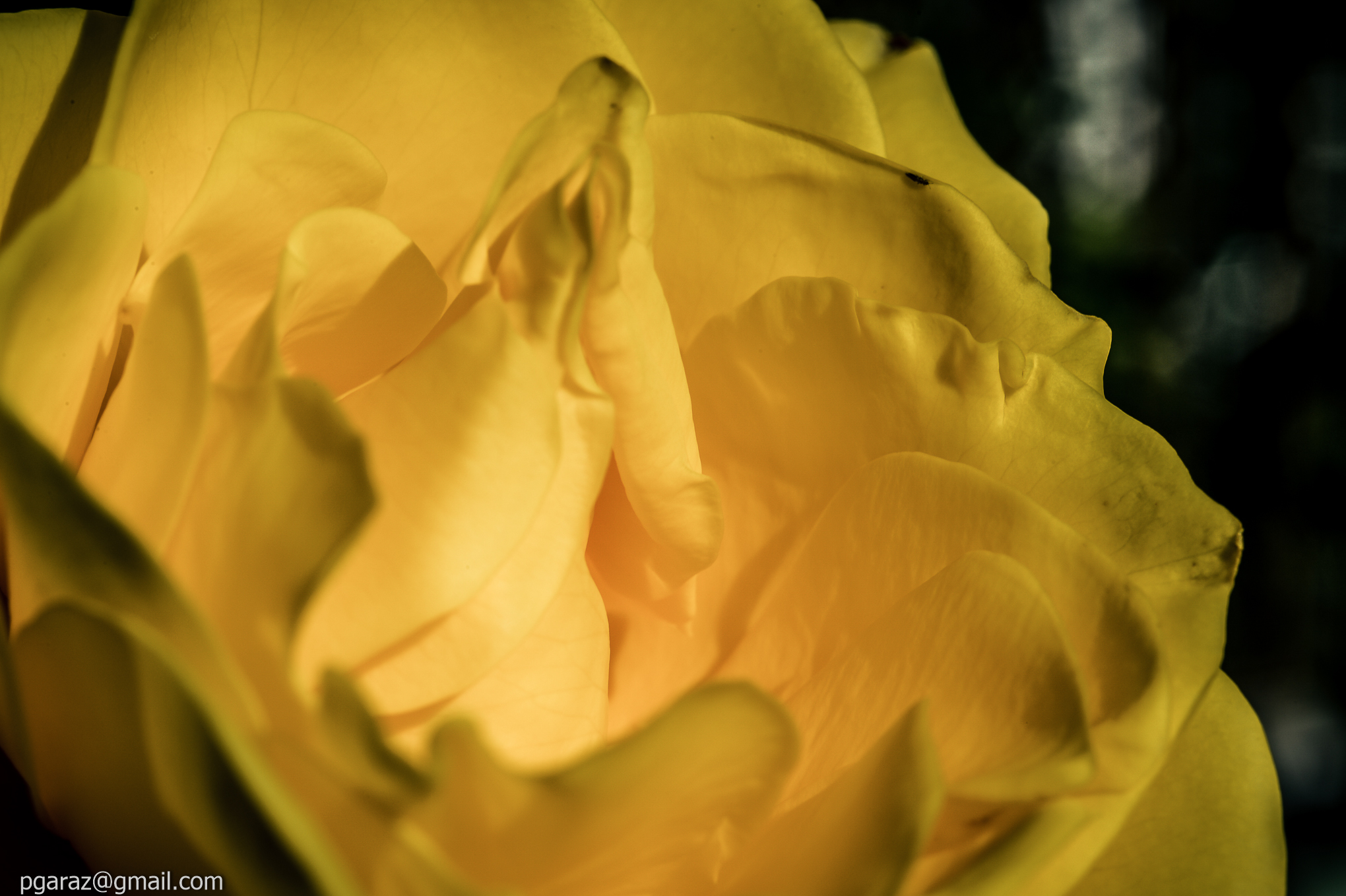 Giallo tonalità rosa del balcone