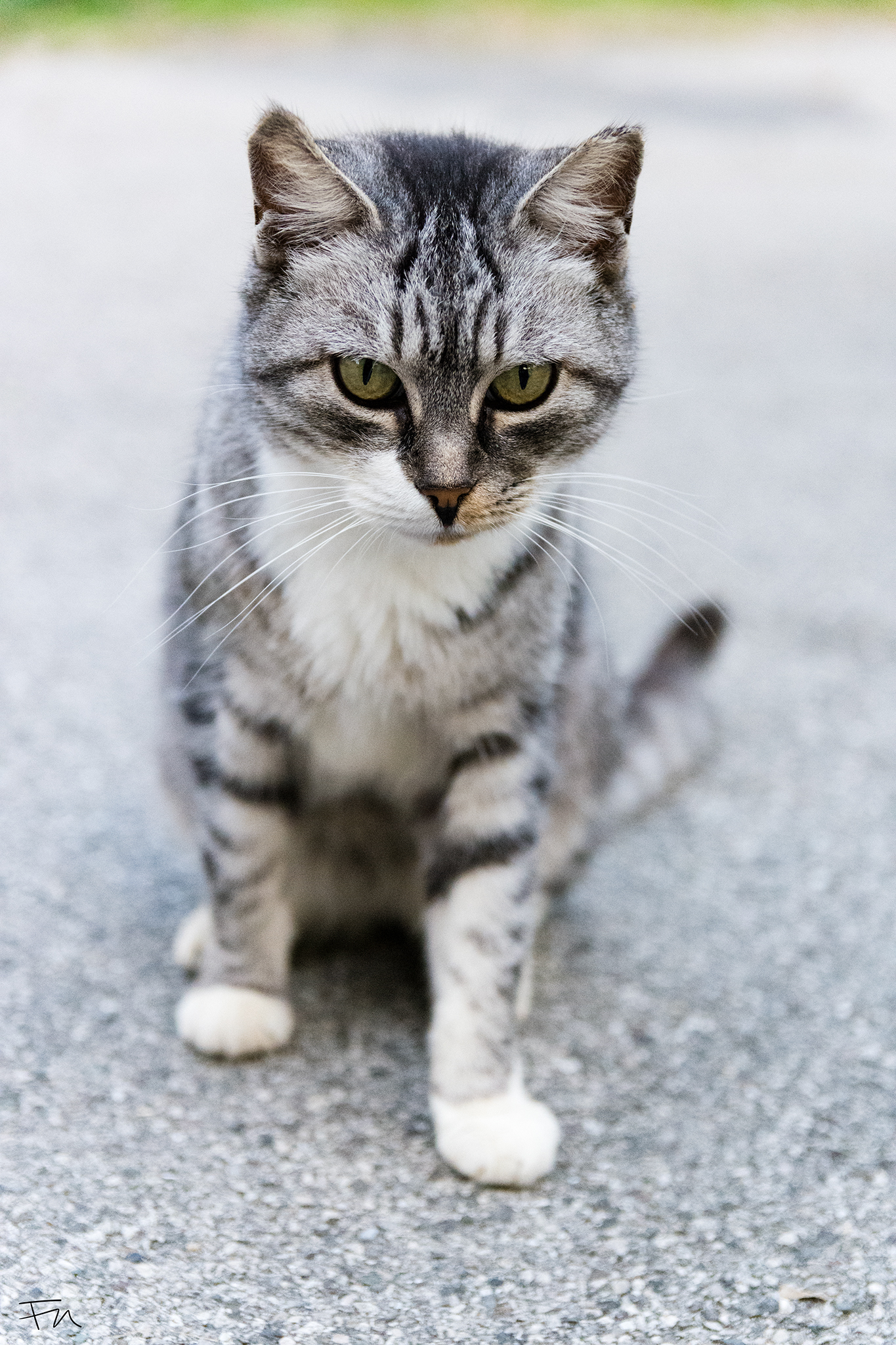 Naturally black and white