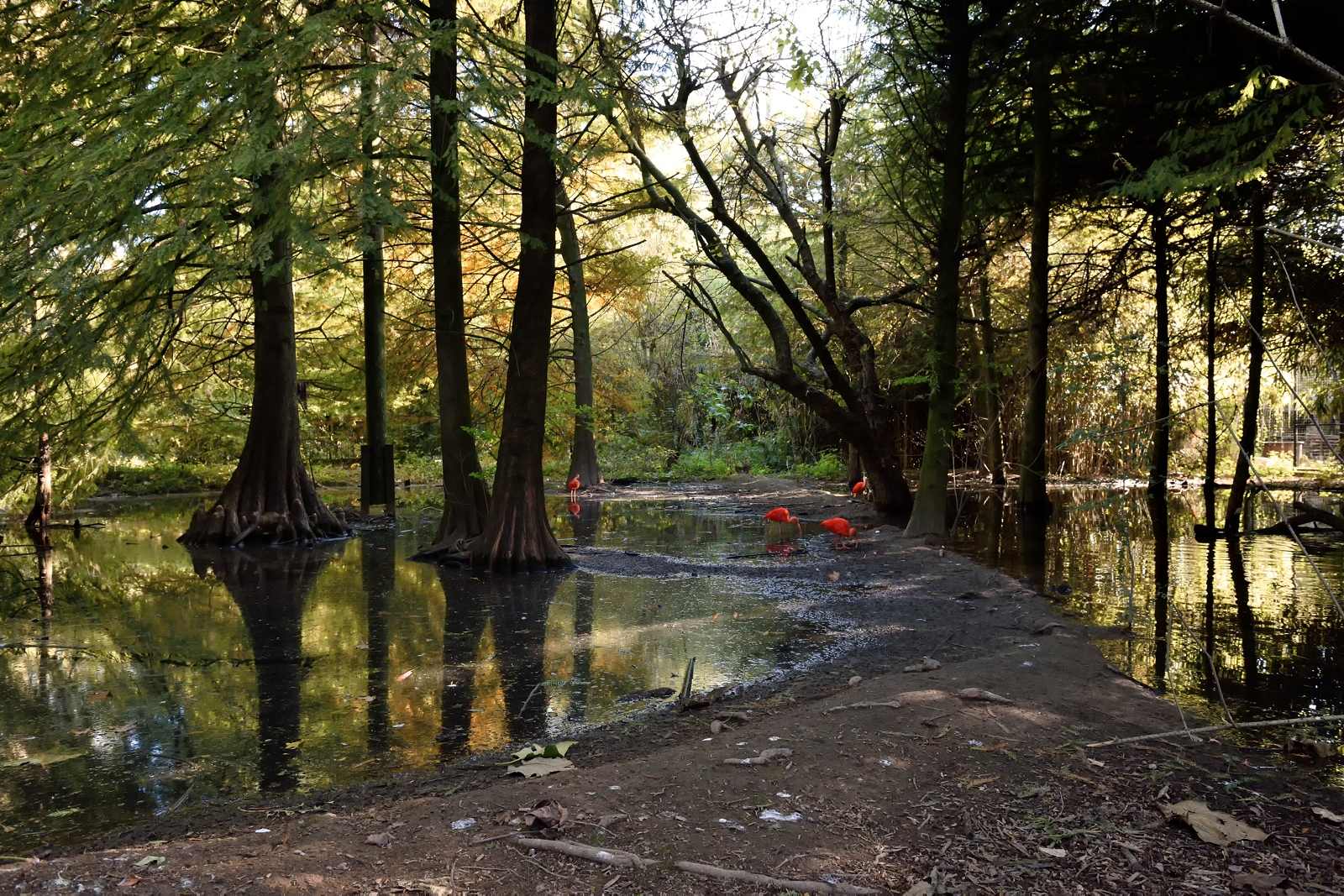Oasi di Sant'Alessio
