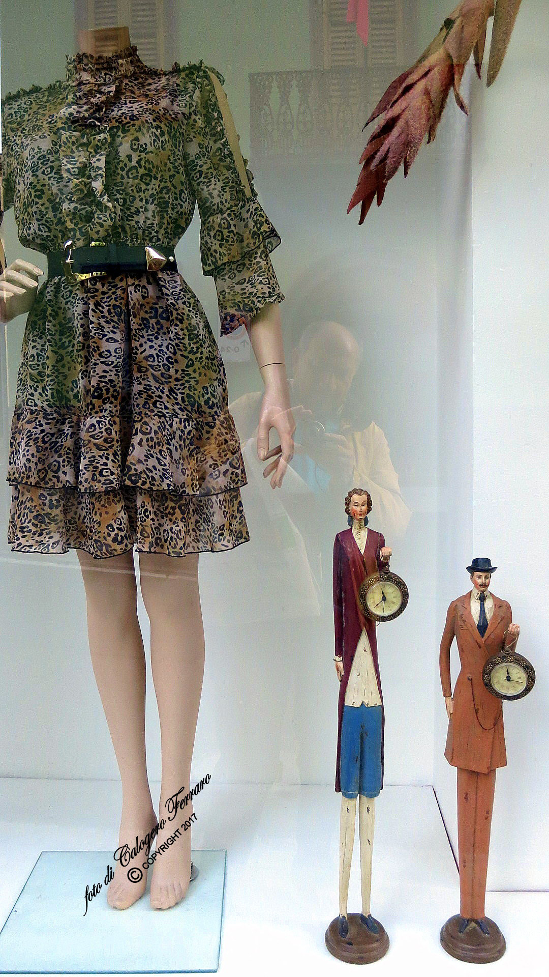 Showcase at Gazzaniga