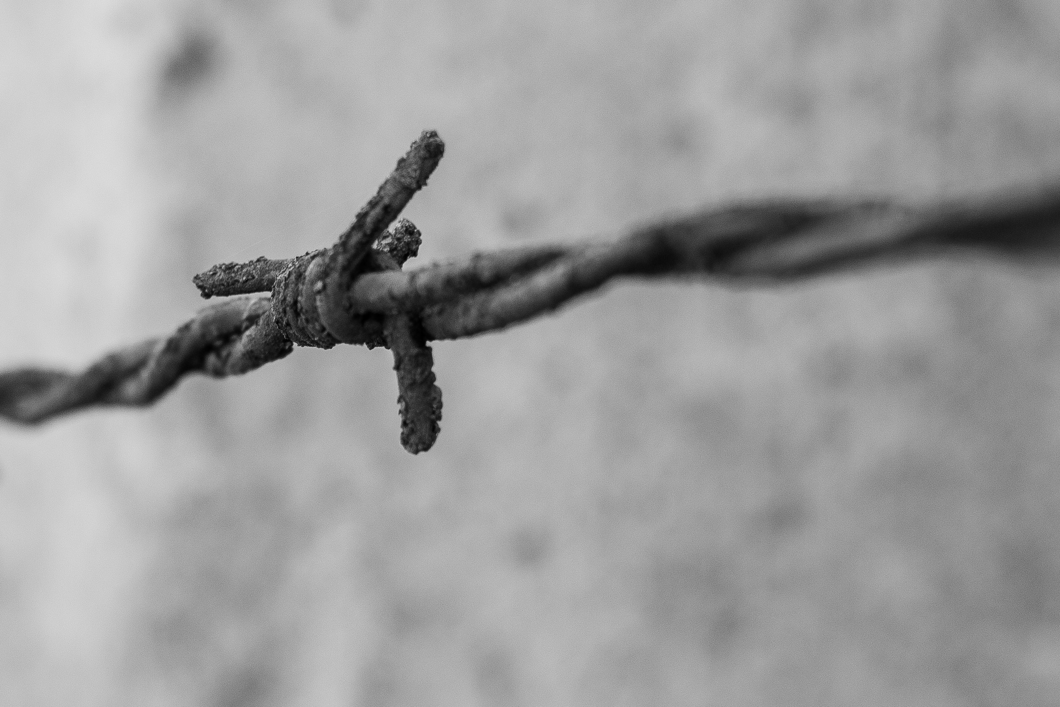 No way out (Auschwitz)