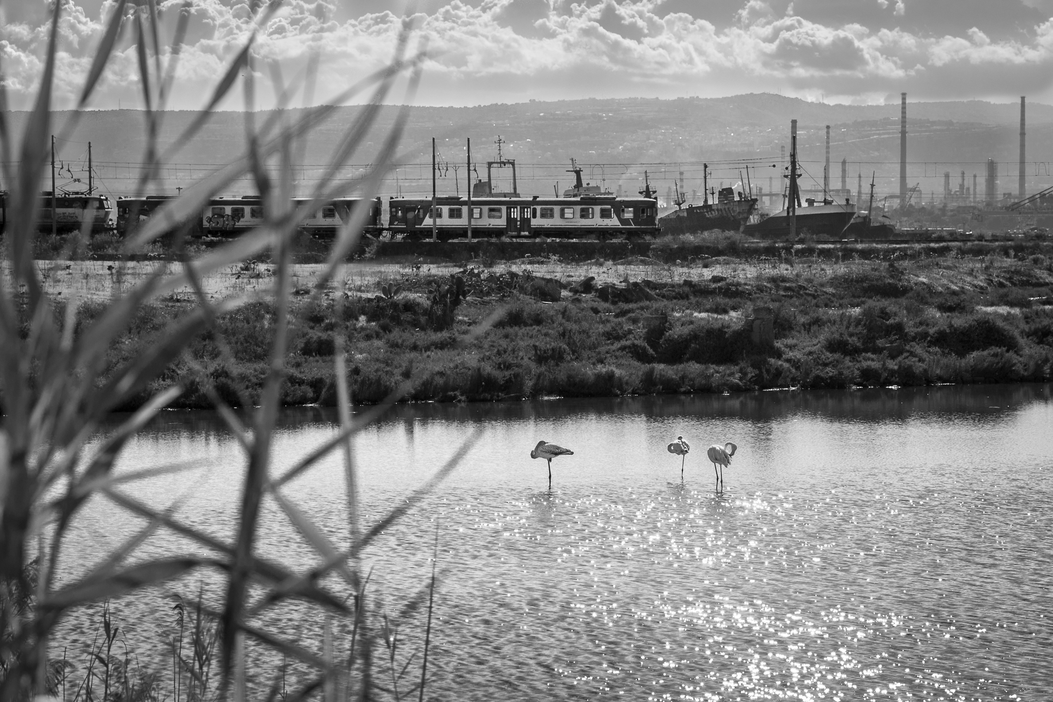 In cerca di equilibrio