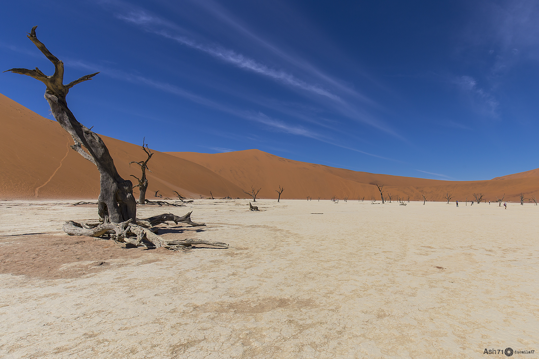 dead vlei