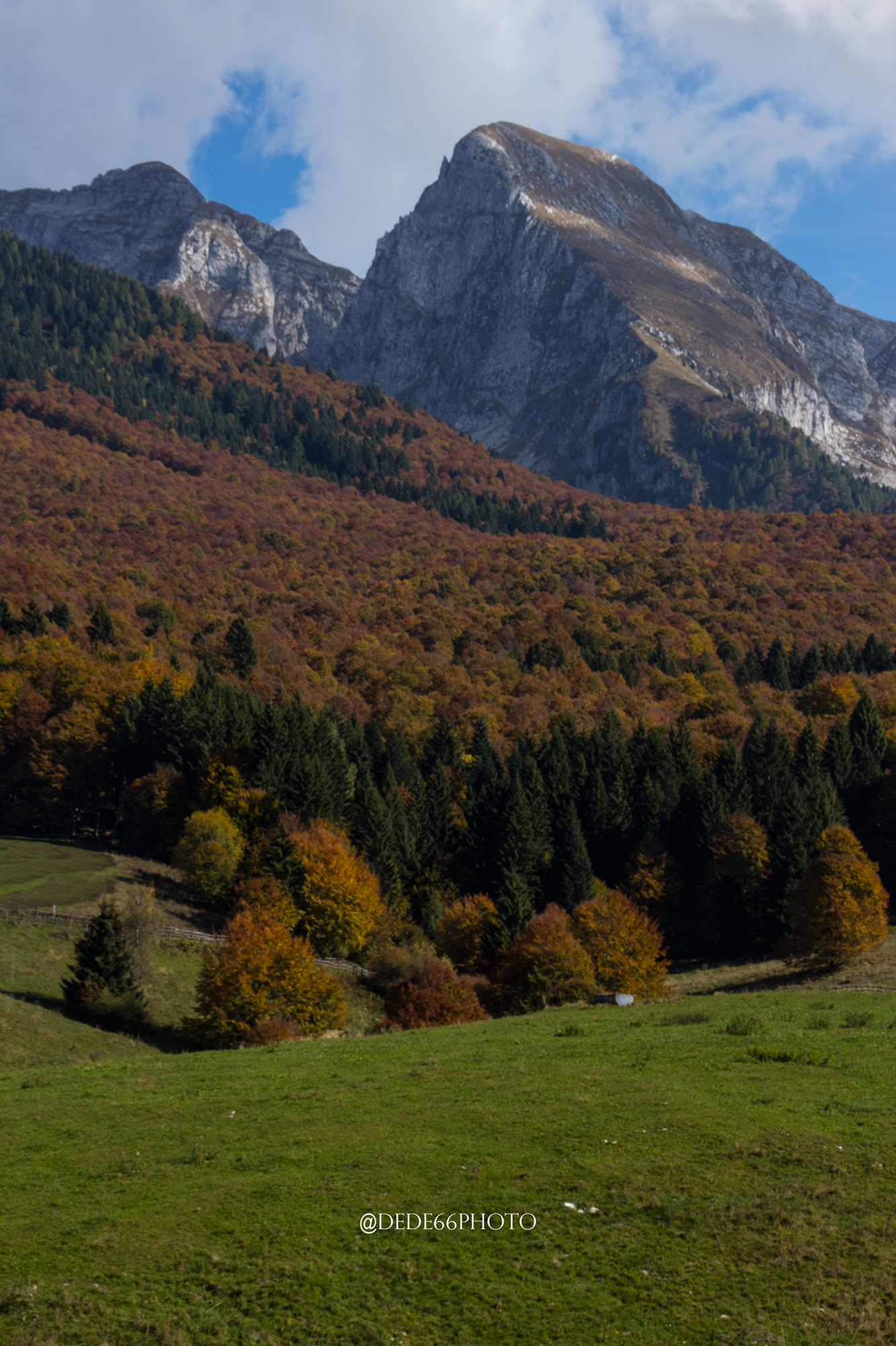 Autumn in Alpago BL.