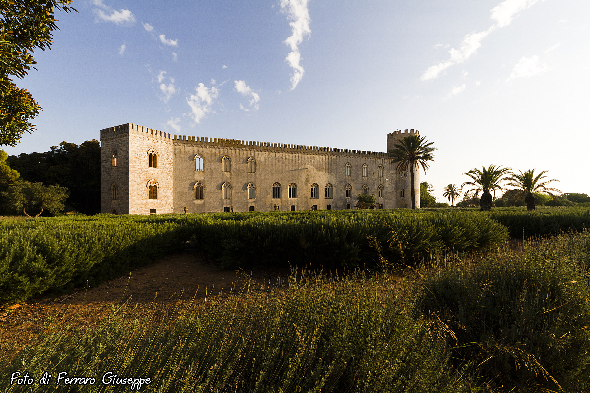 Donnafugata Castle (rg)