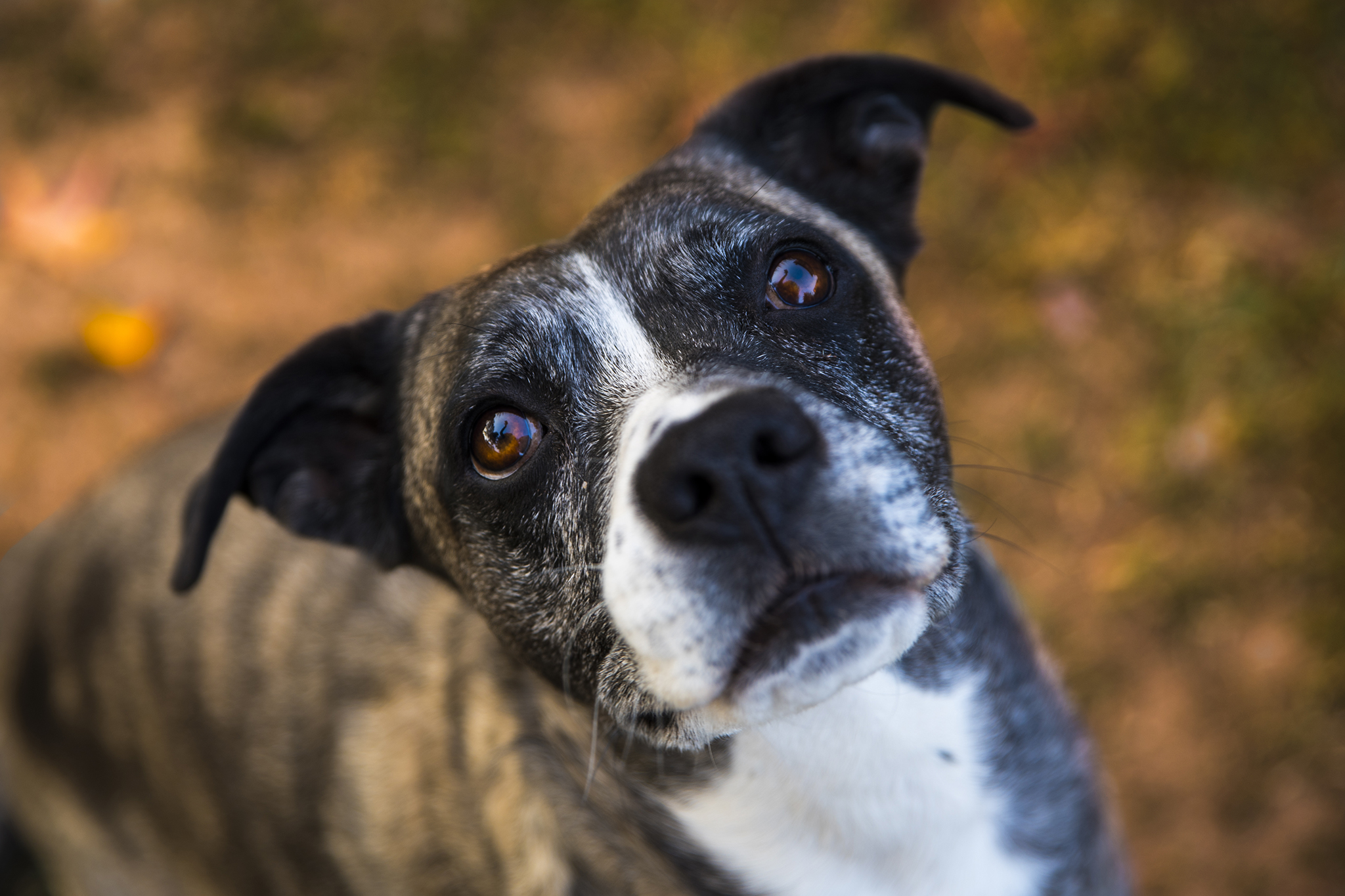 Yuna...testando il nuovo obiettivo!