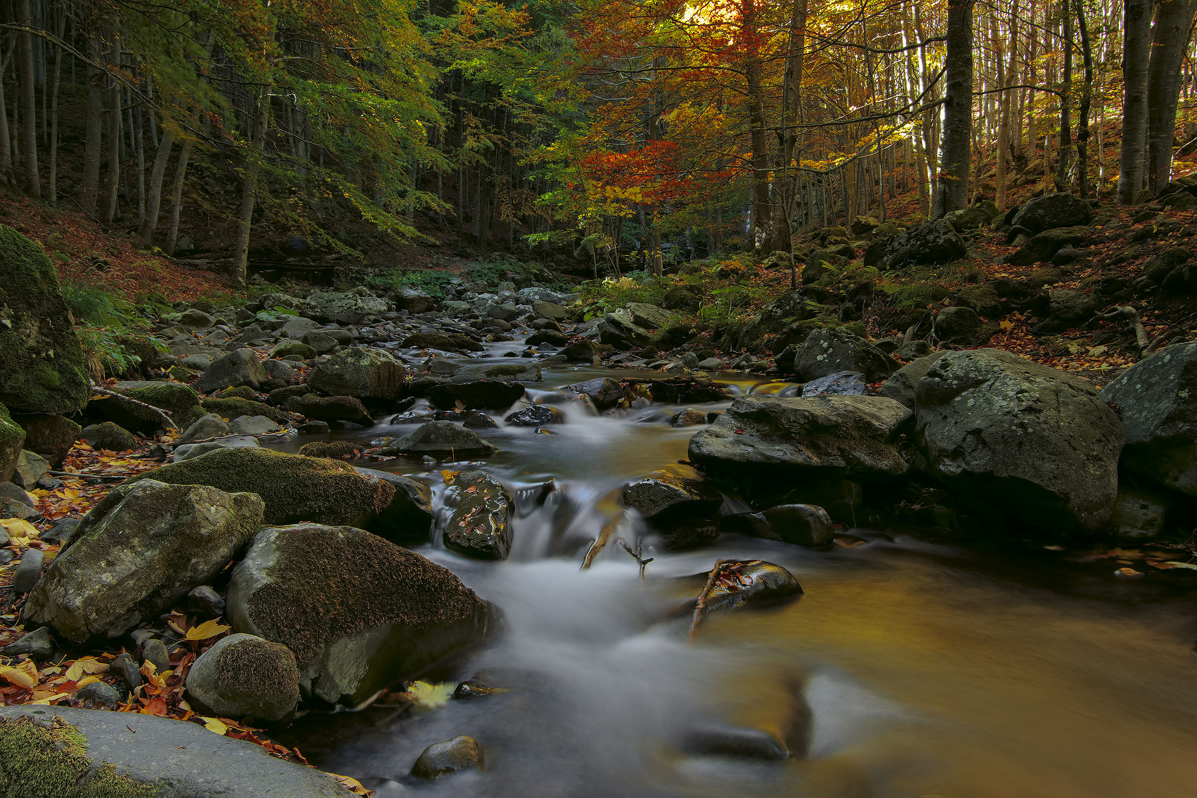 Parco del Corno alle Scale Ott. 2017