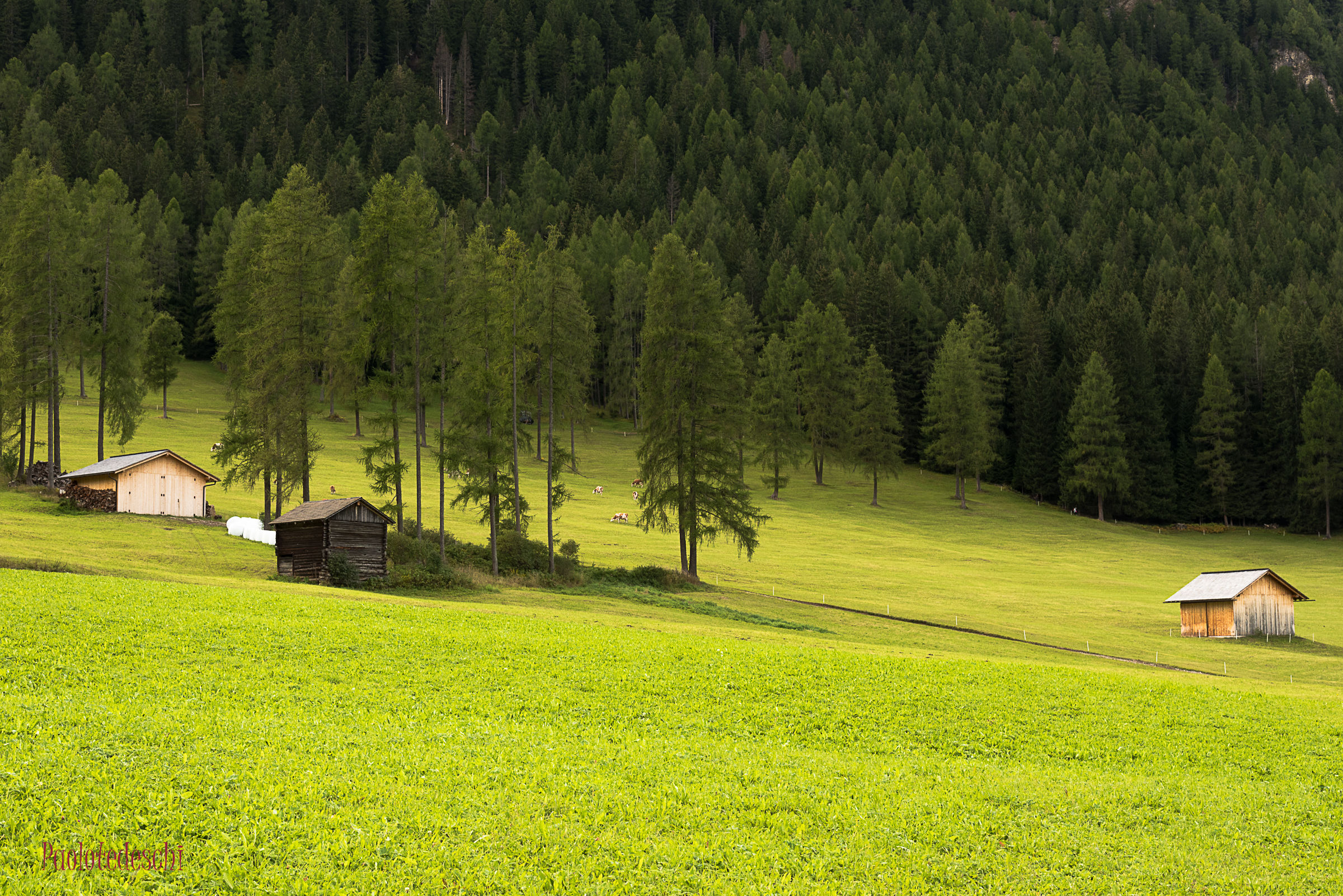 Sentiero per Moso di Sesto