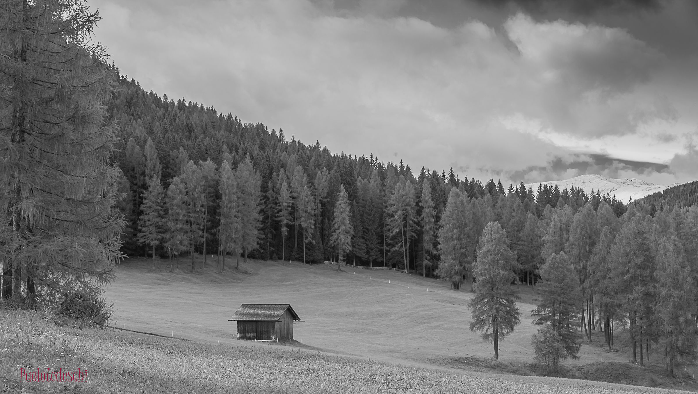 Tra Val Fiscalina e Moso di Sesto