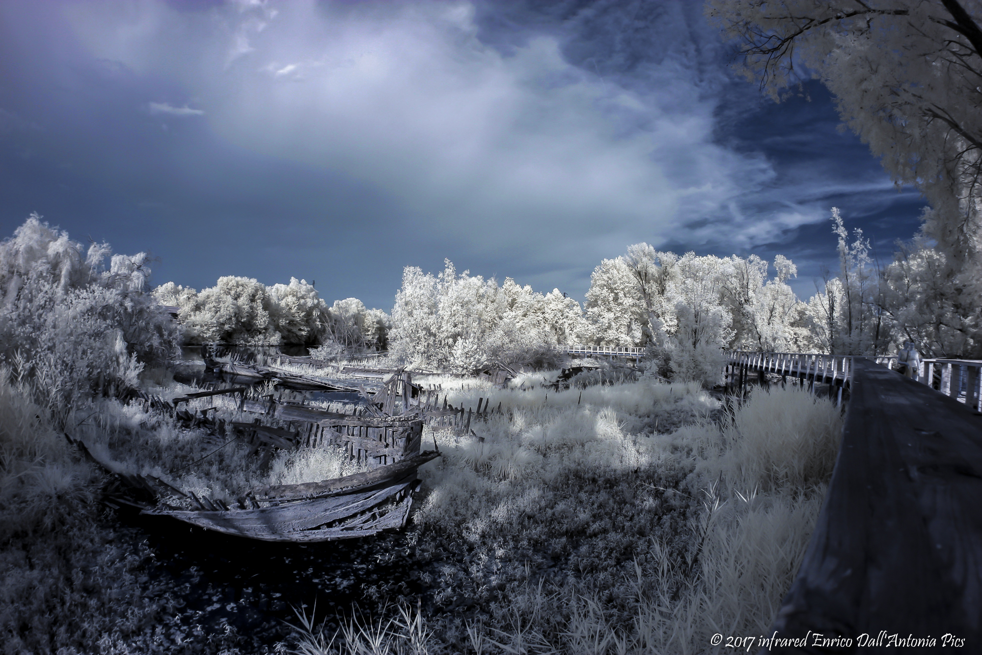 I burci in infrared 720nm