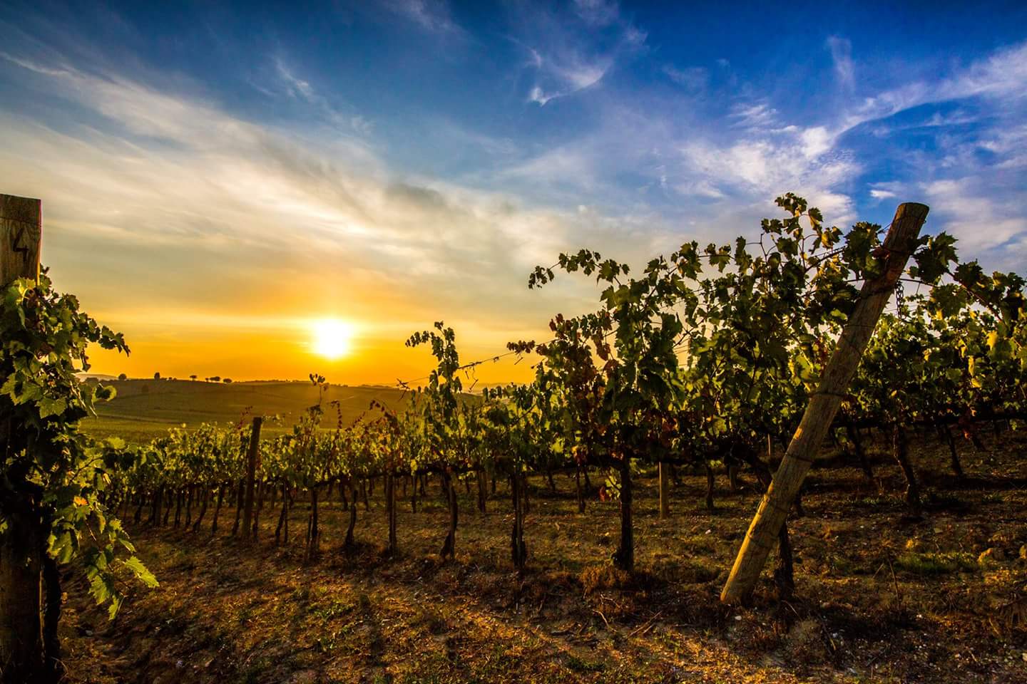 Maremma della Toscana