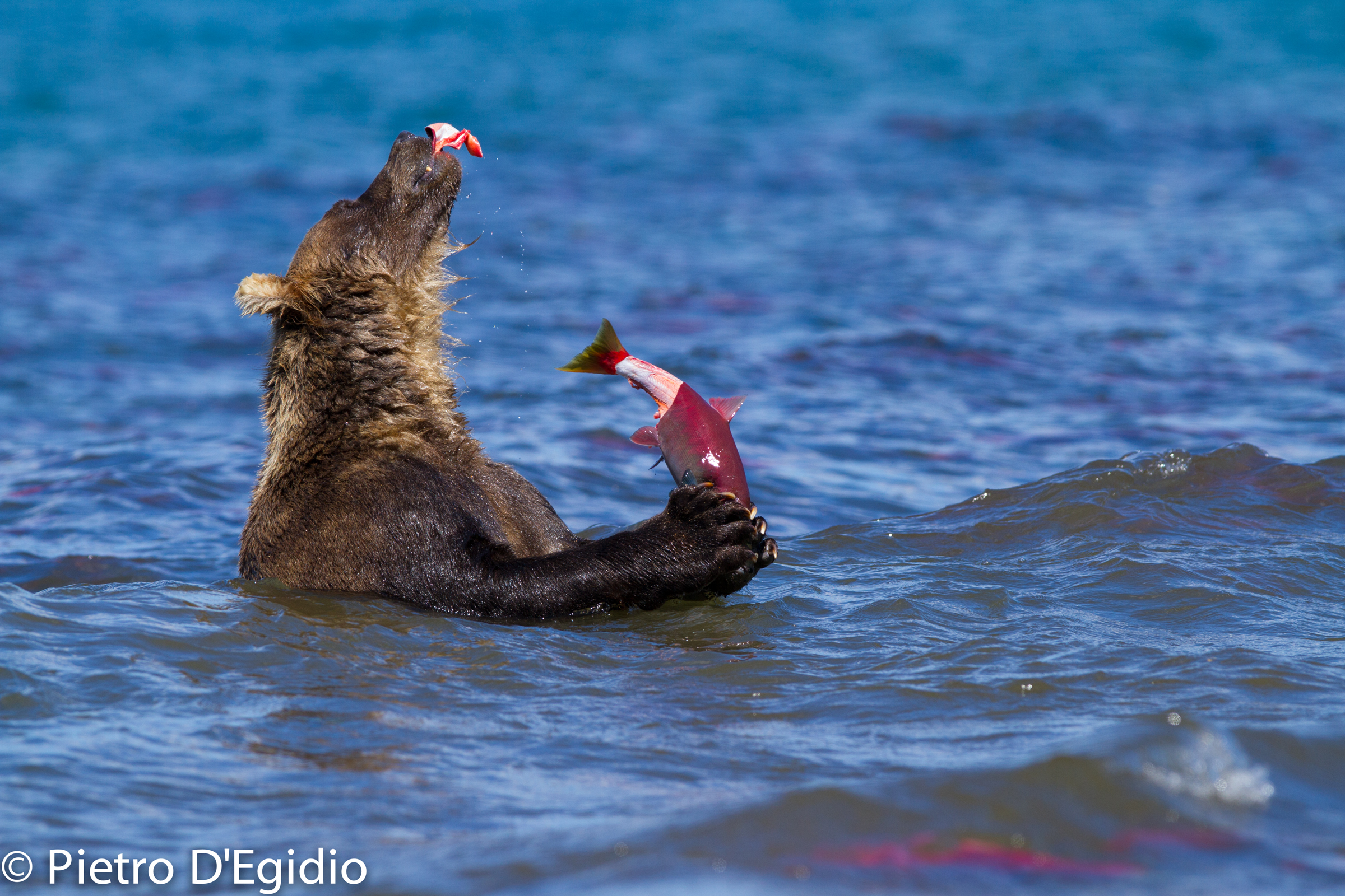 The same story of all time