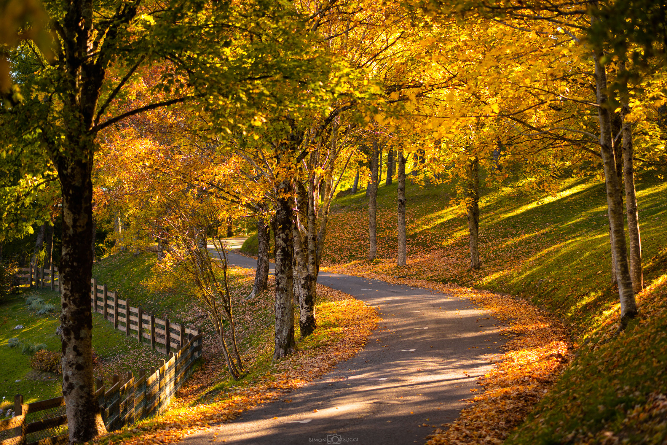 Nel cuore dell'autunno