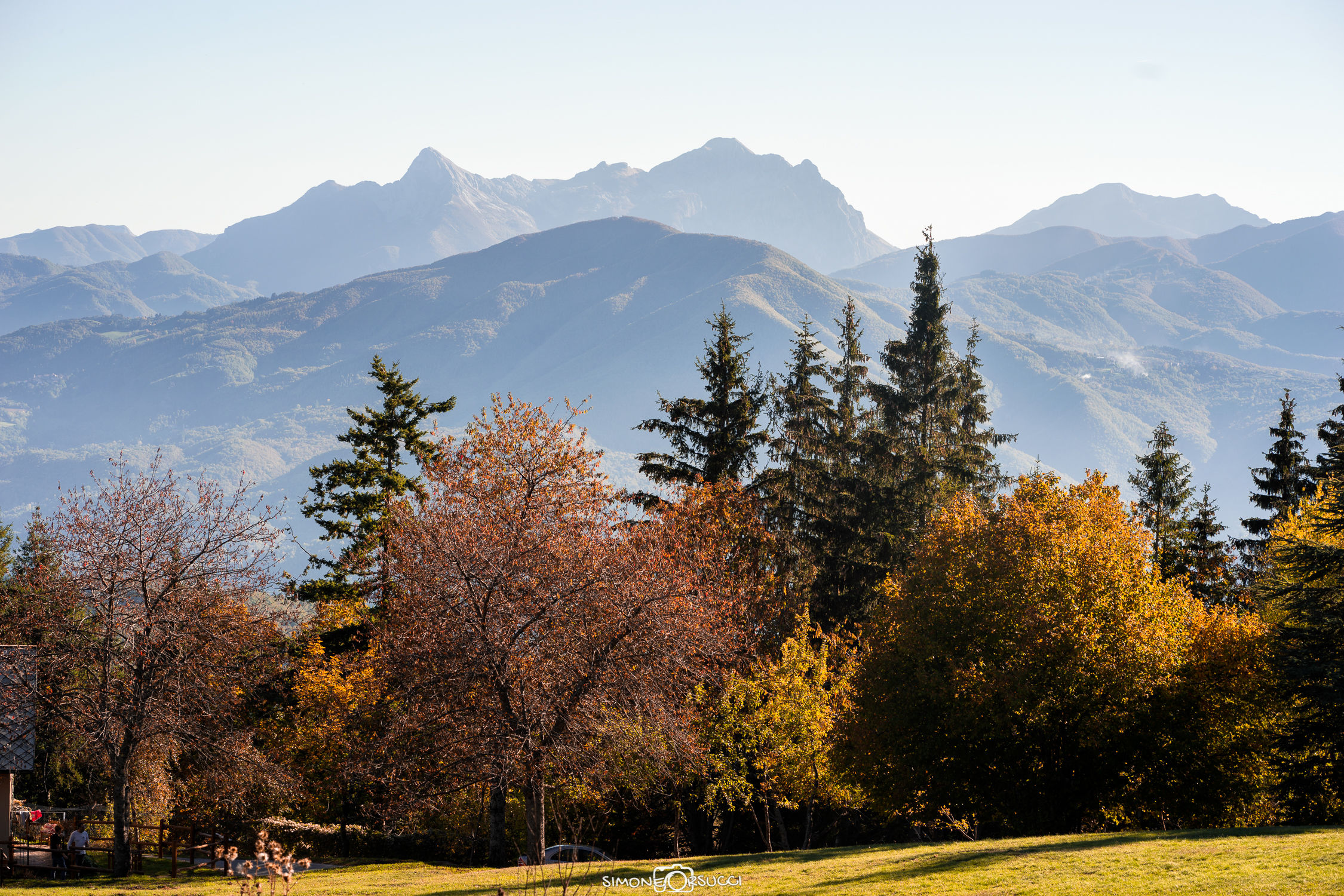 View from Orecchiella Park