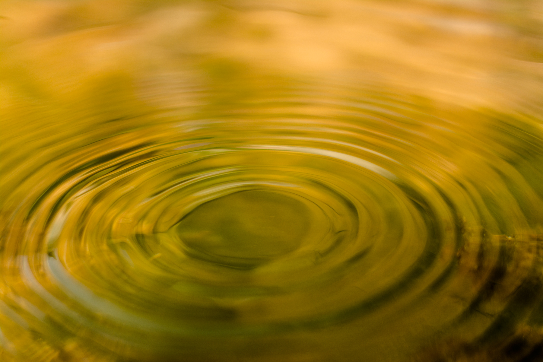 Acqua Crisp