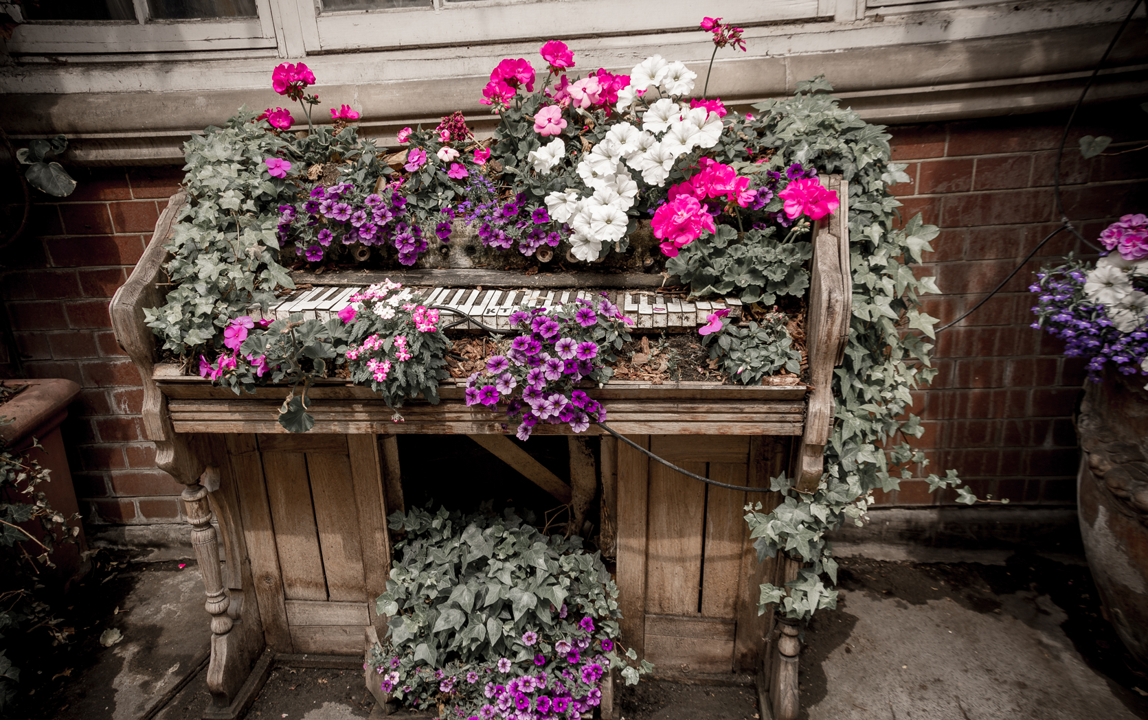 Flower Piano