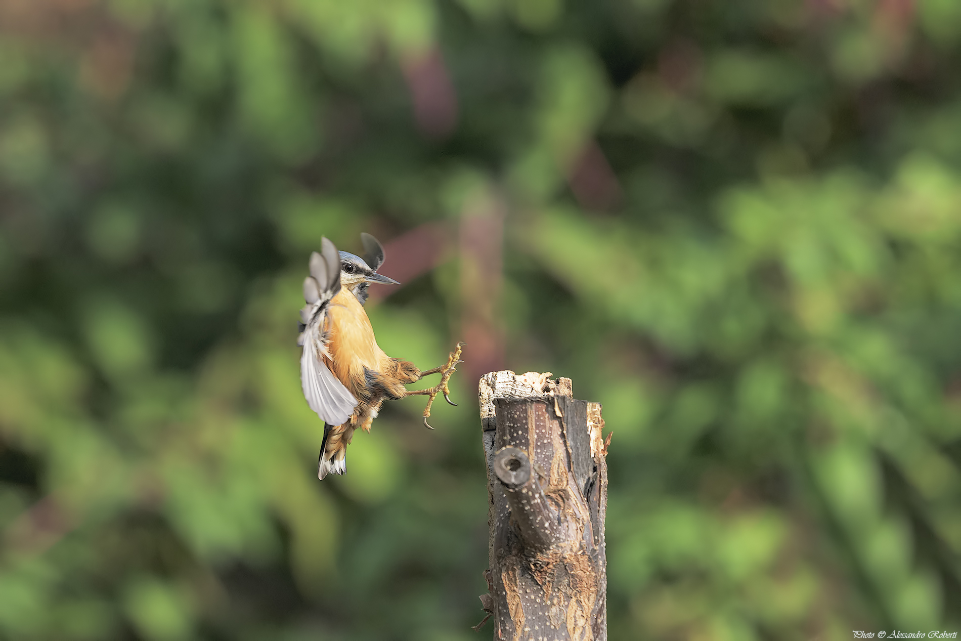 Brick mason in flight