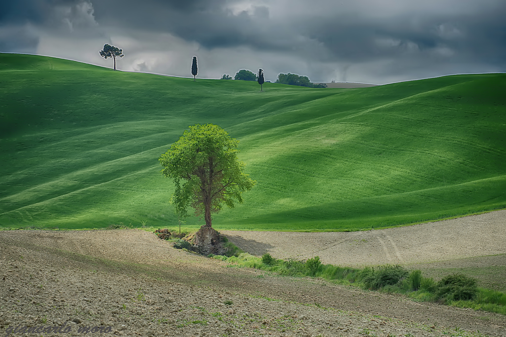 Tuscany
