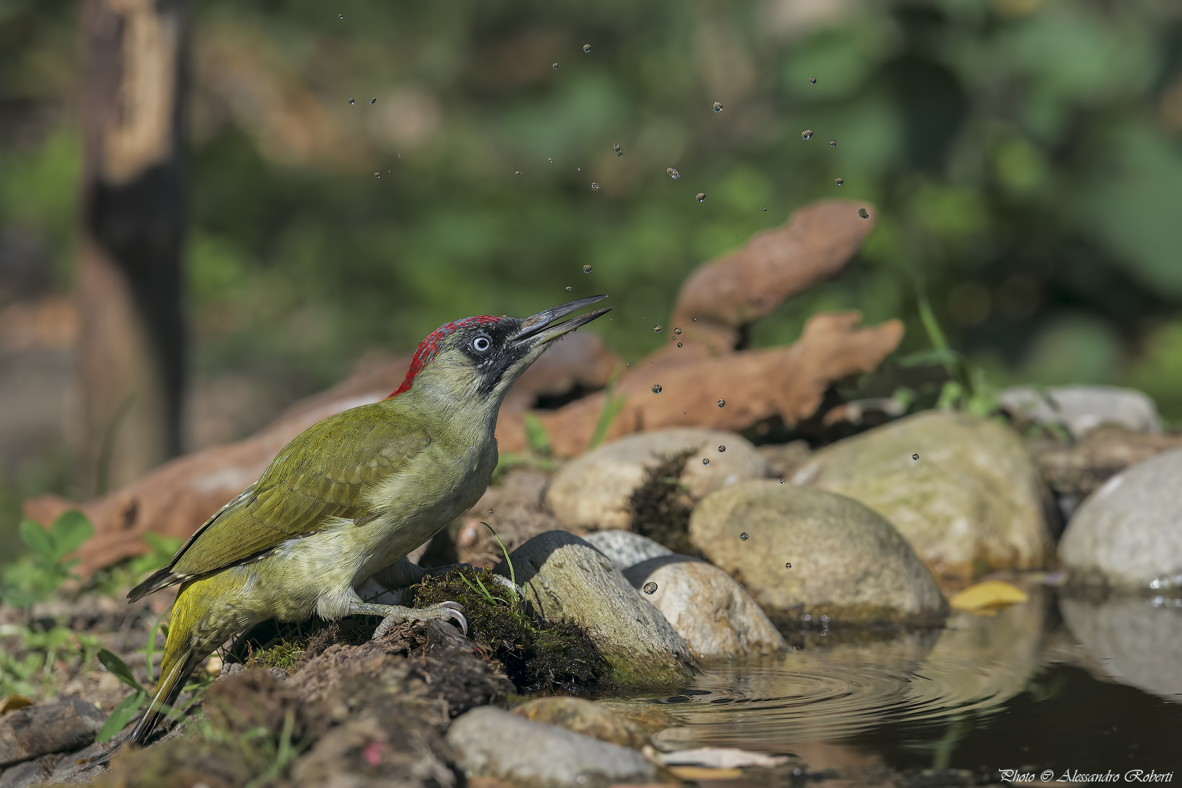 Let's drink it hot ..........