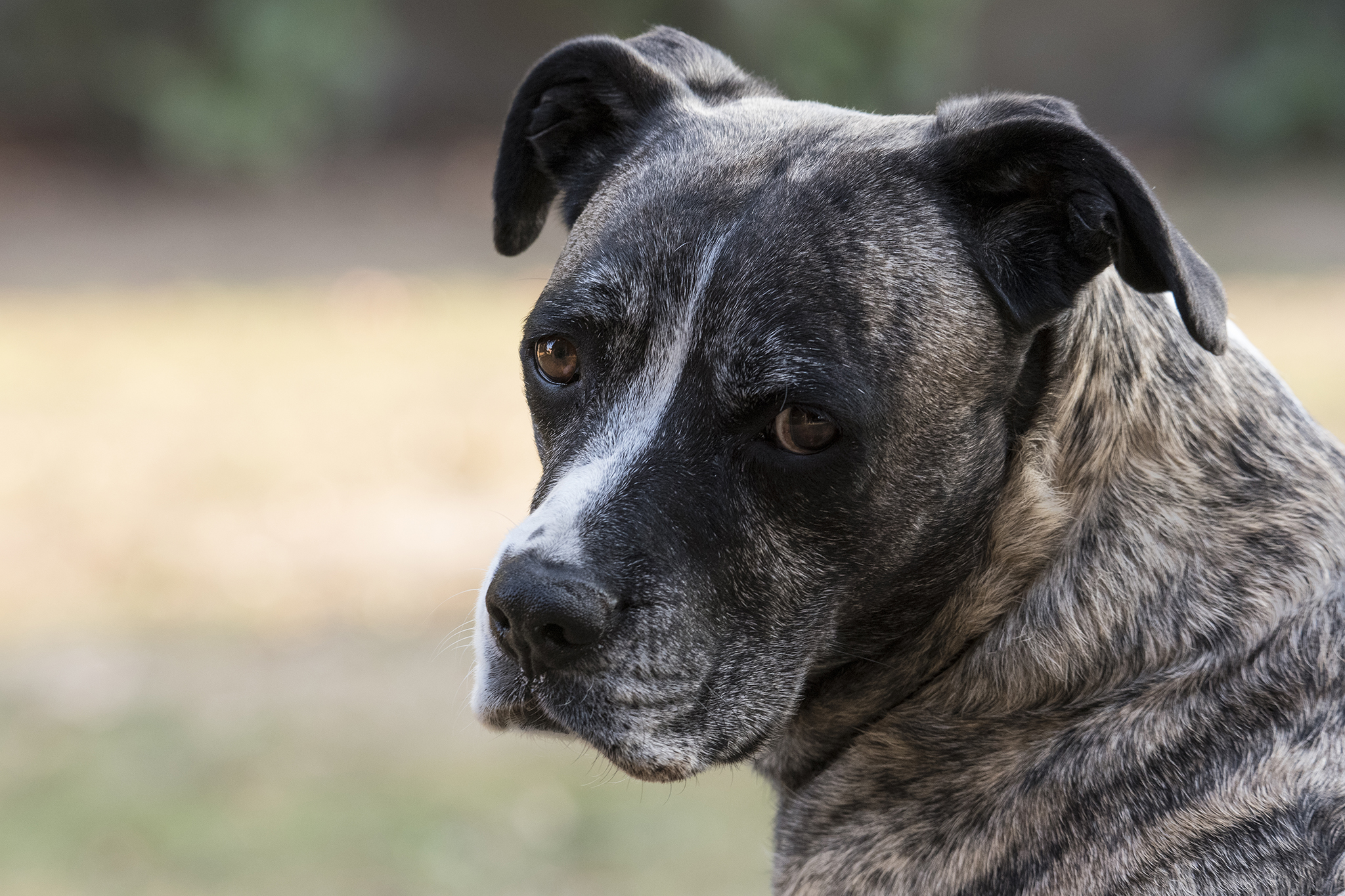 Yuna...con Tamron 150-600 G2