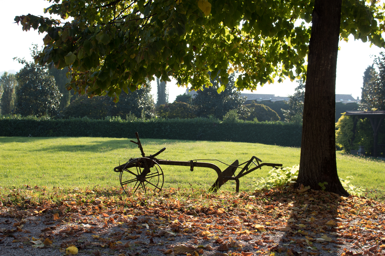 Villa Emo - Selvazzano Dentro (pd)