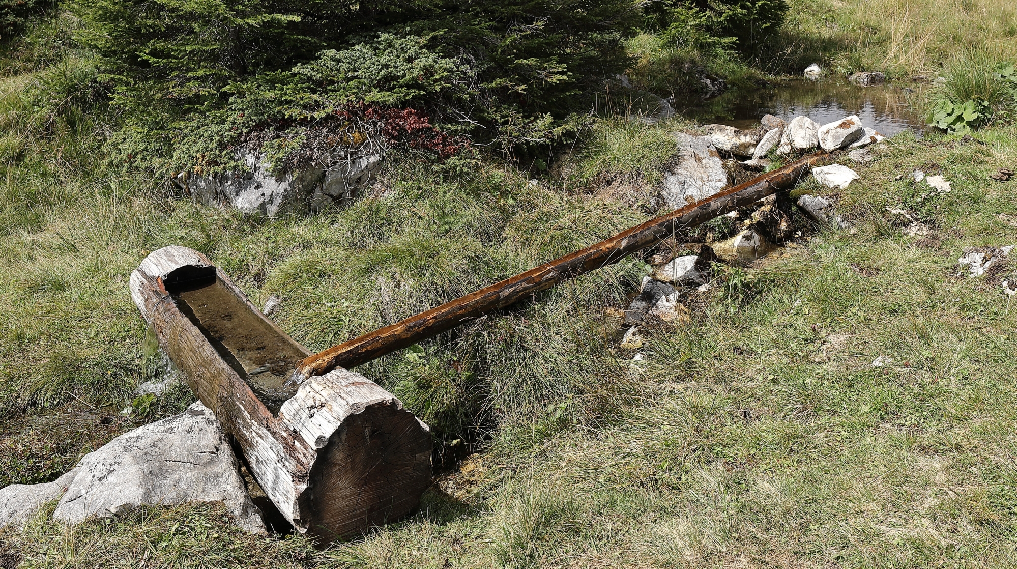 L'inizio della corsa