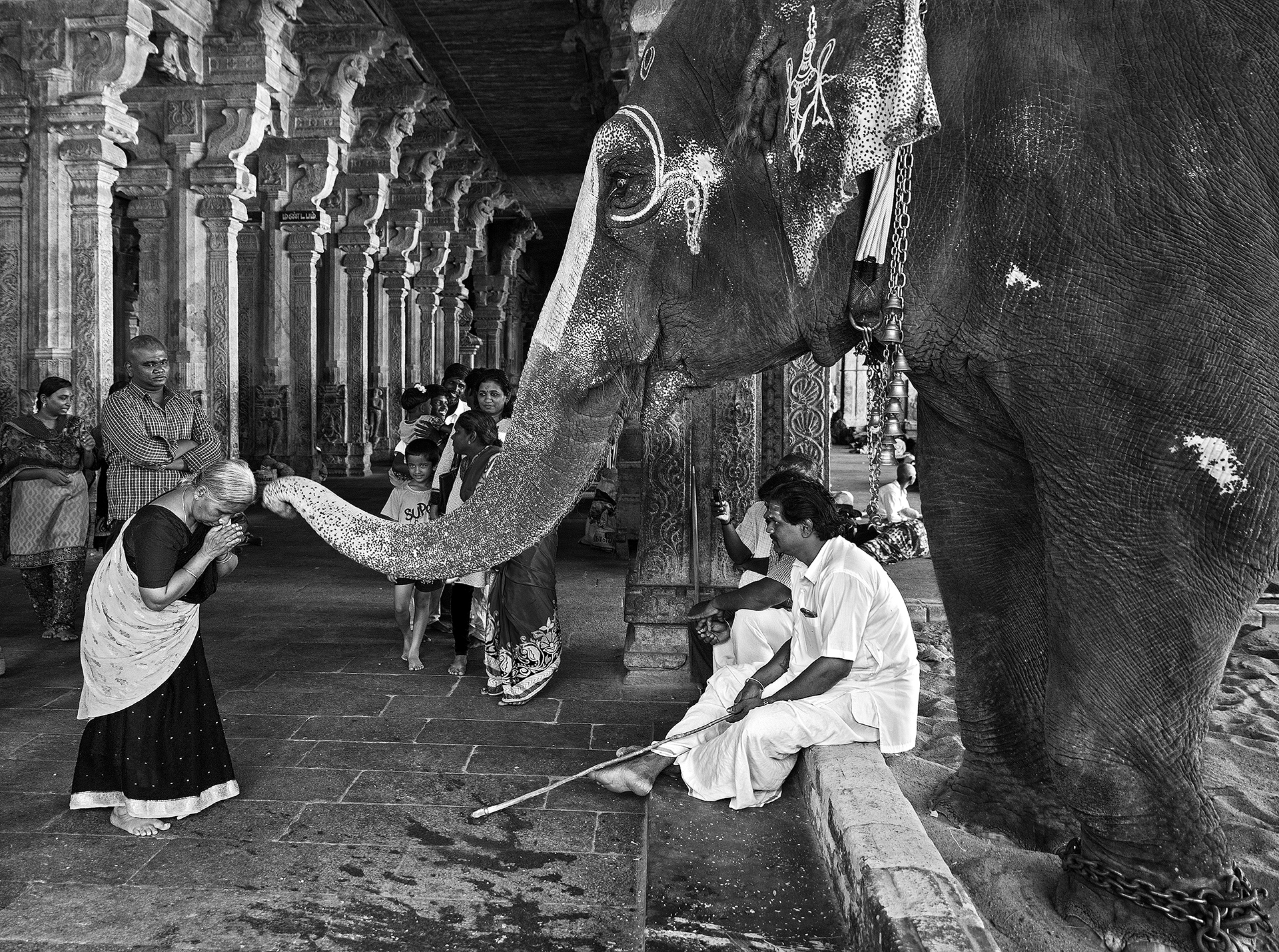 The elephant blessing