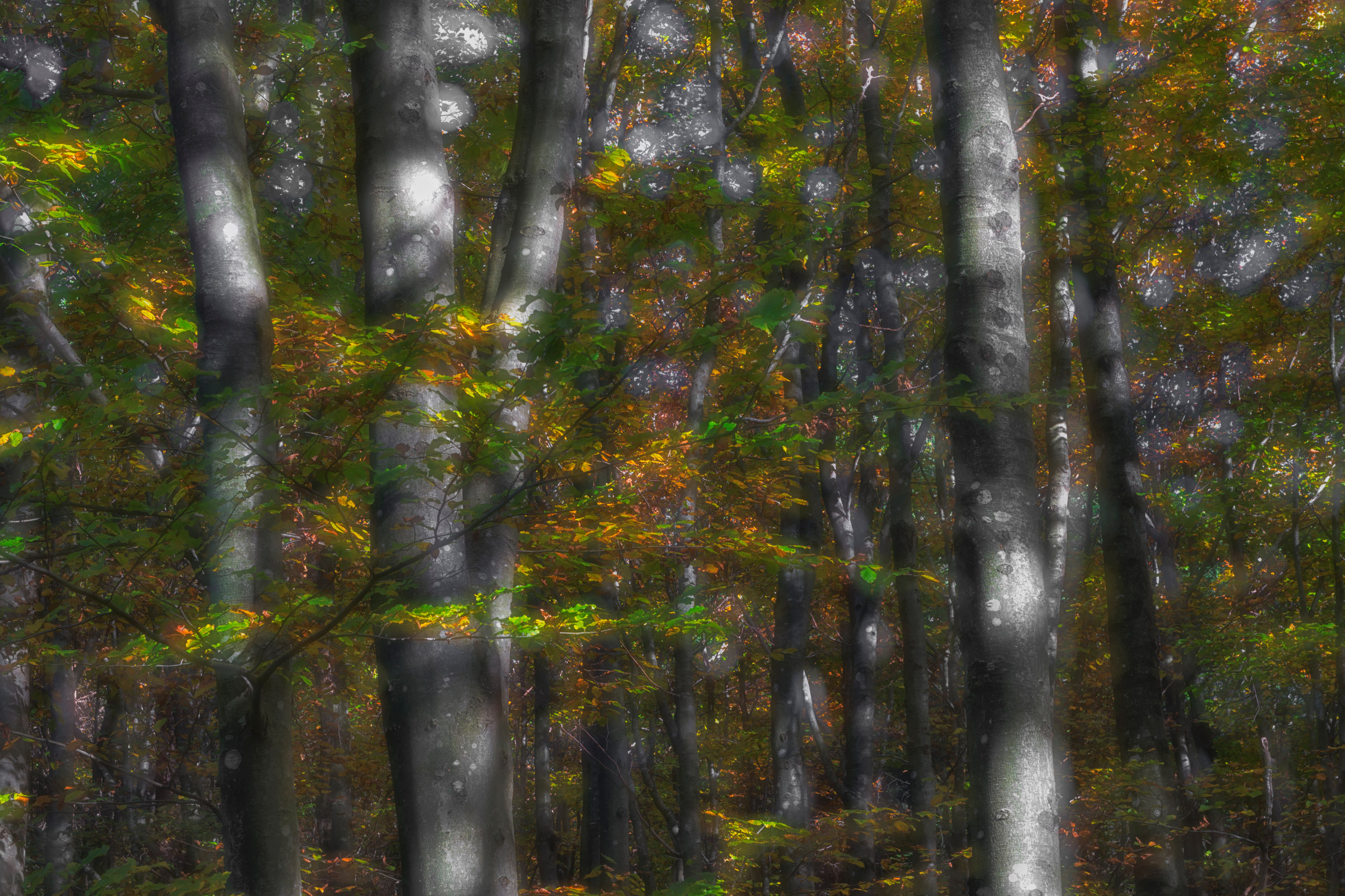 ...yes, there's a crack in everything...