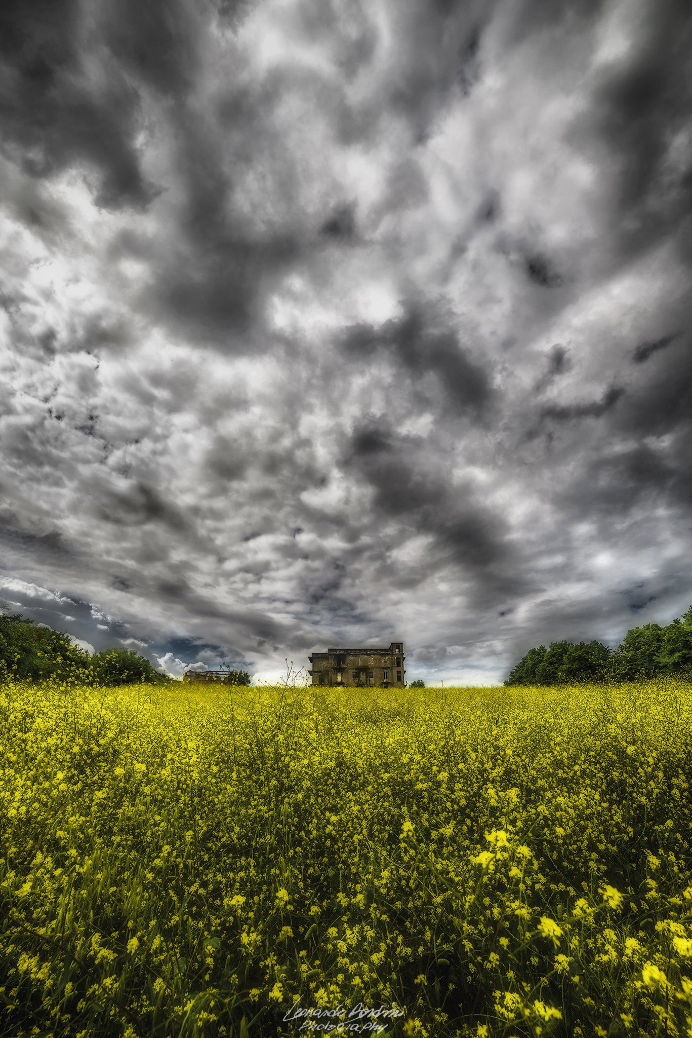 Between Earth and Sky