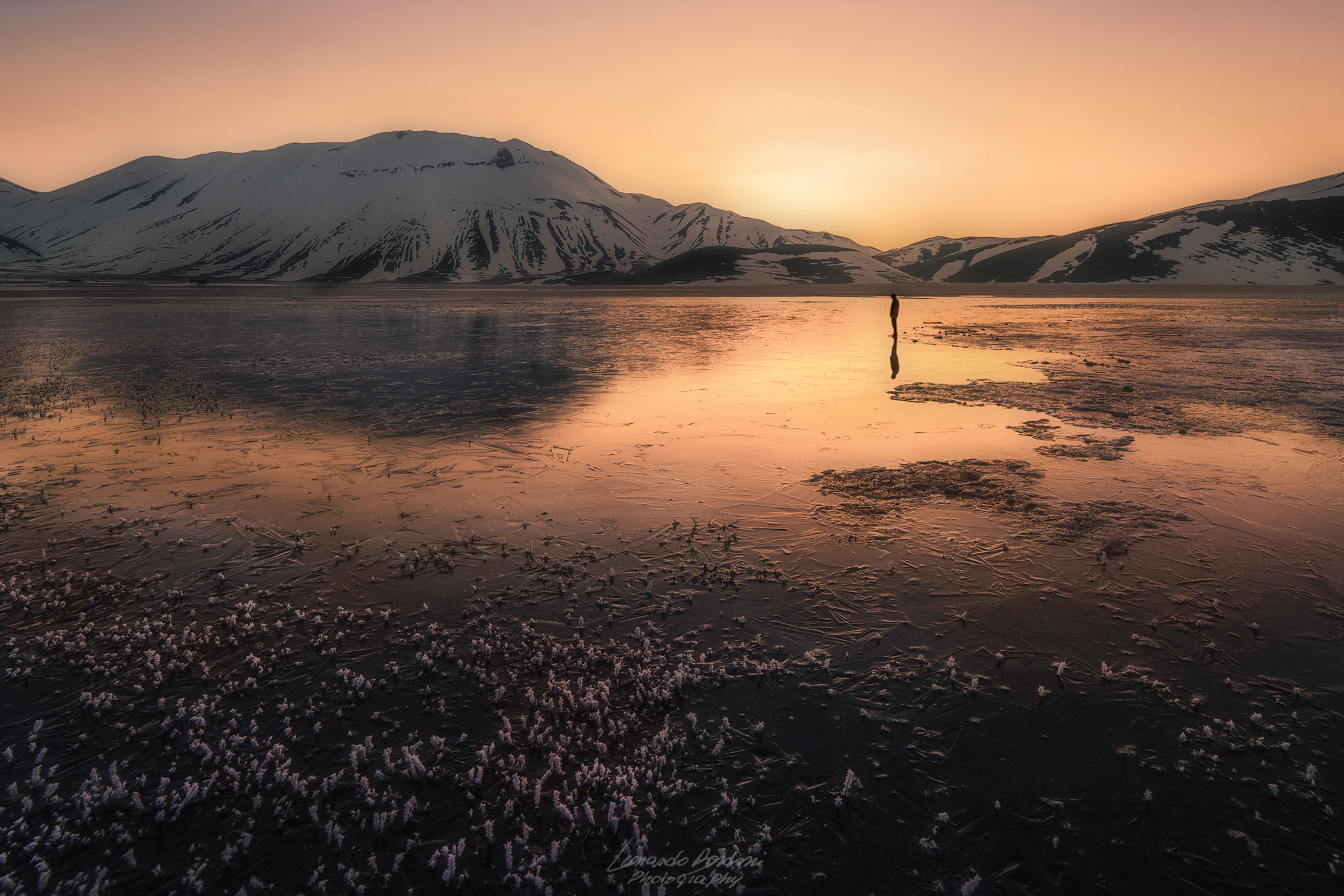 Solitary Reflections