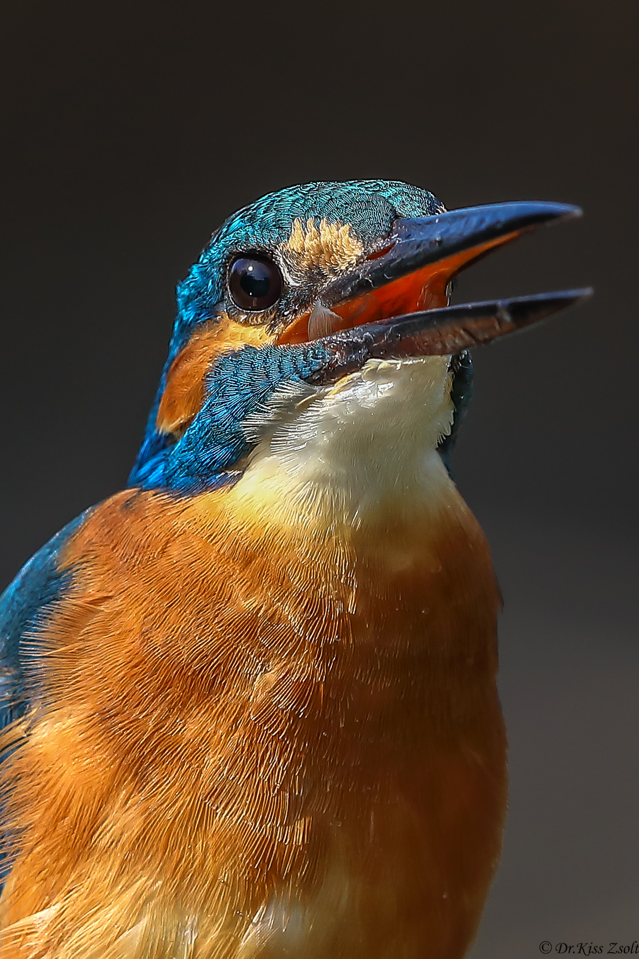 Quasi completamente inghiottito