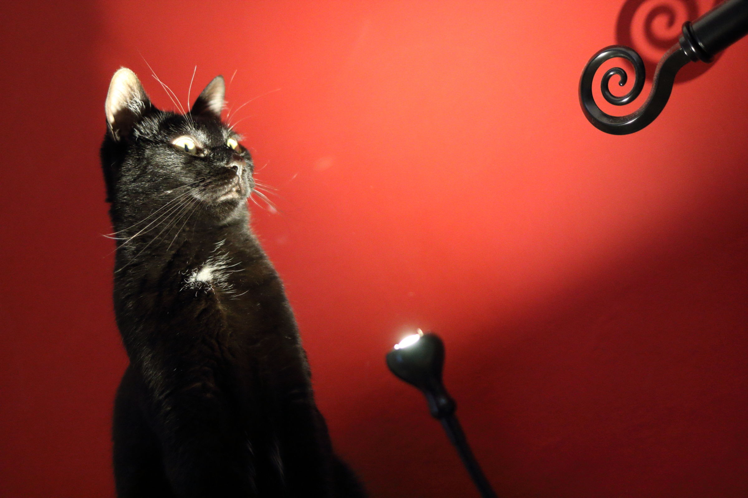 Head of the World (Mimì)