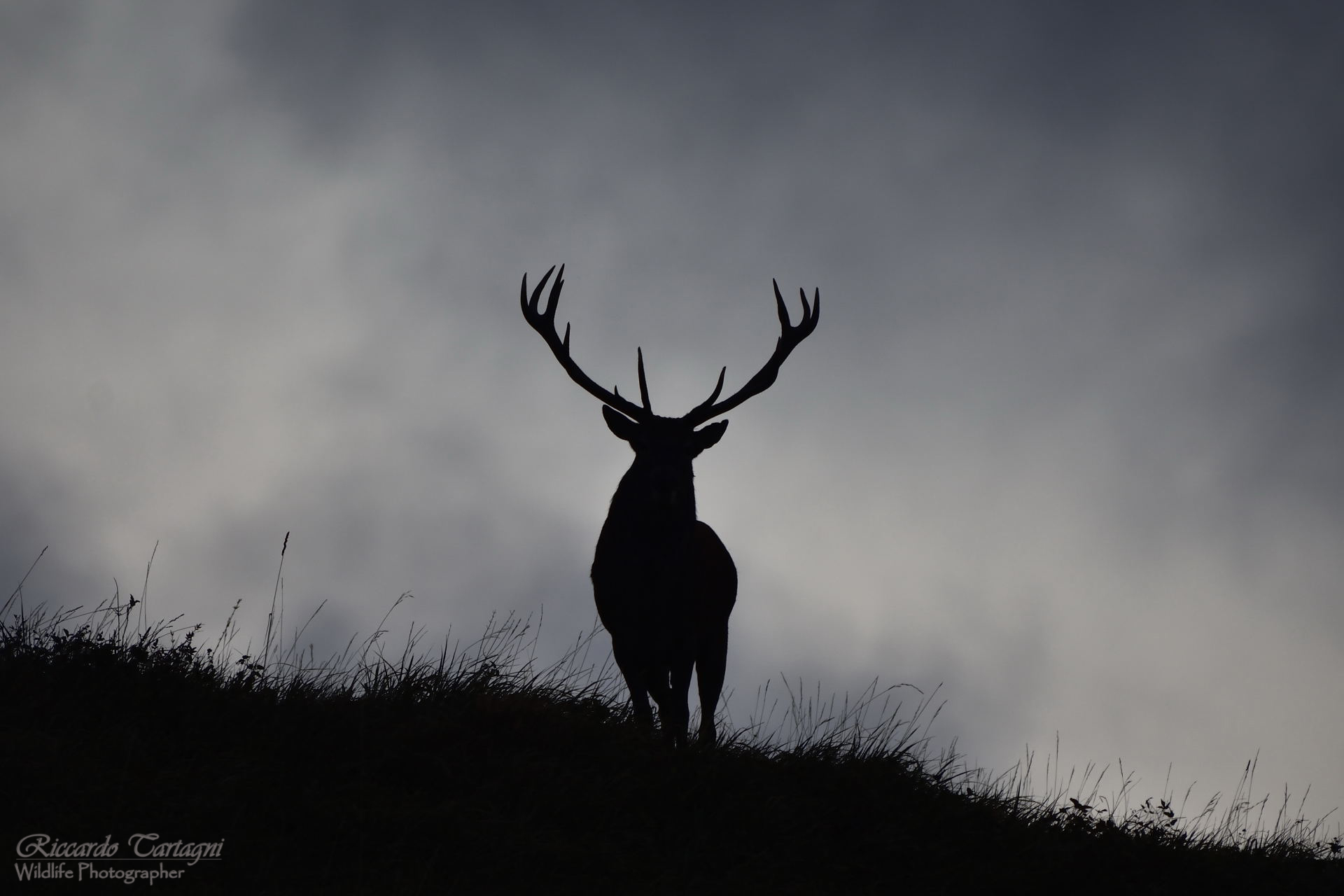 Me and you! Like in fairytales