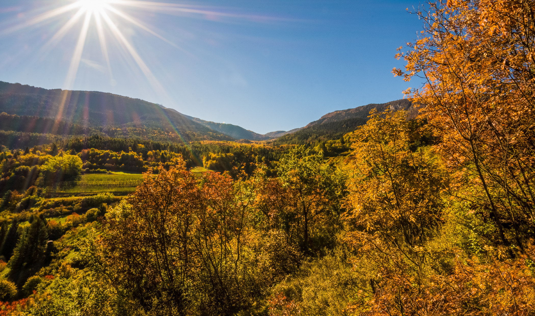 In the autumn I look at the sky