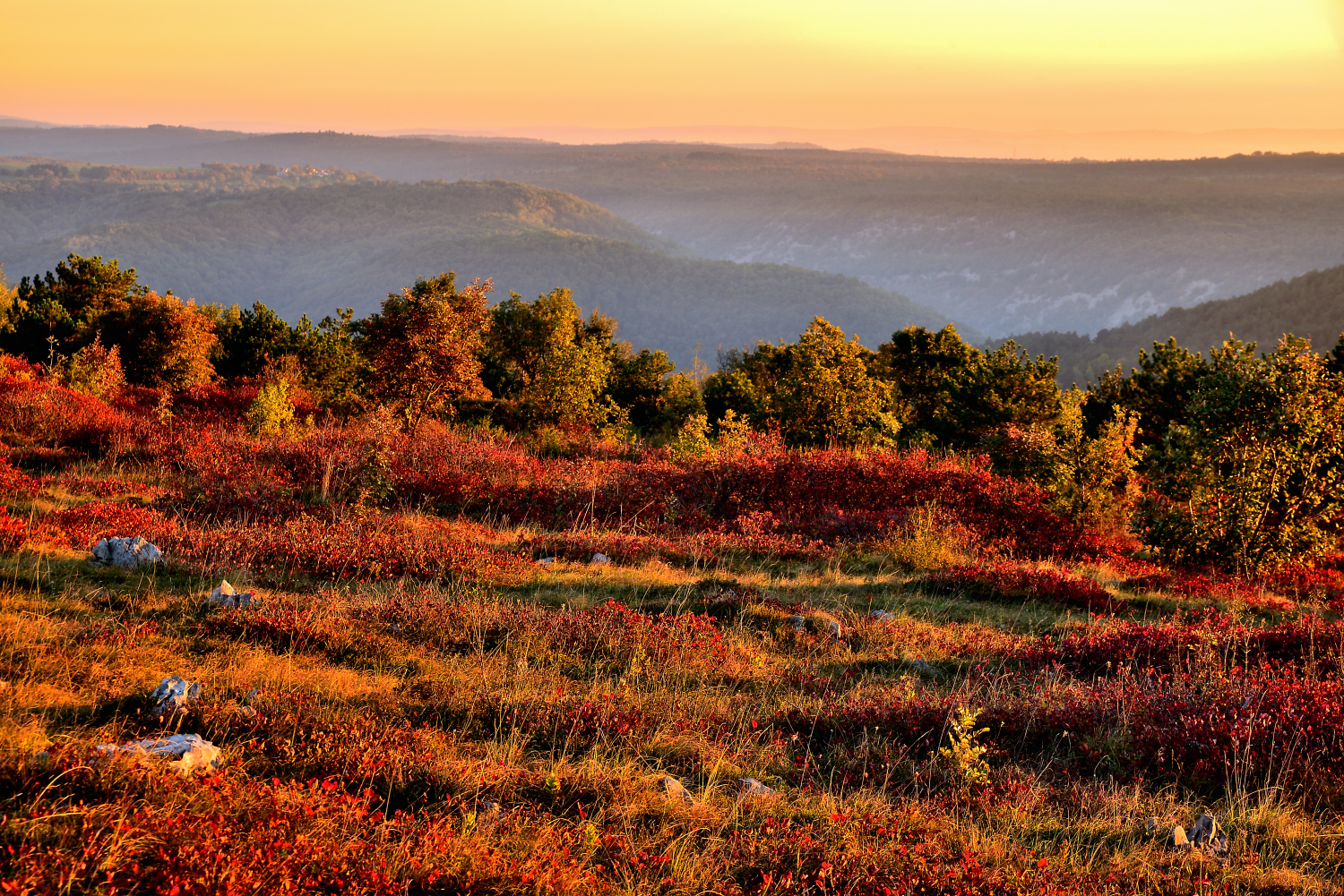 The incredible foliage of the Trieste Carso