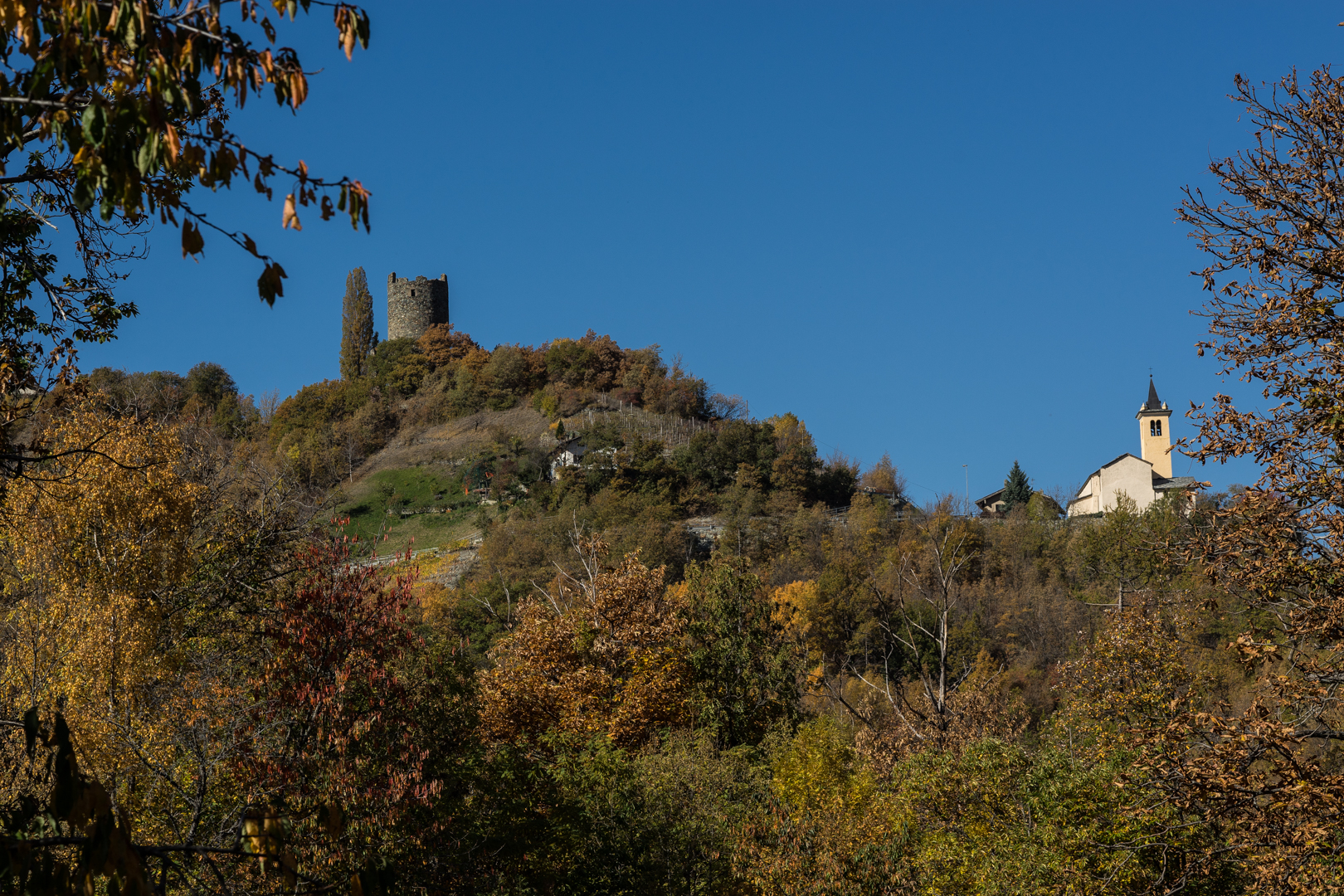 autumn to great shine