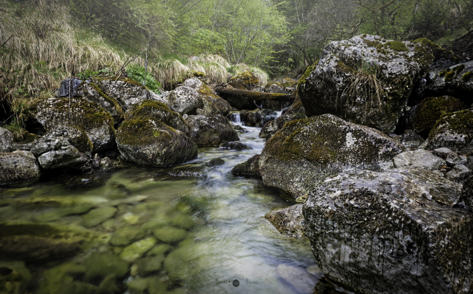Nei pressi del lago di Tovel