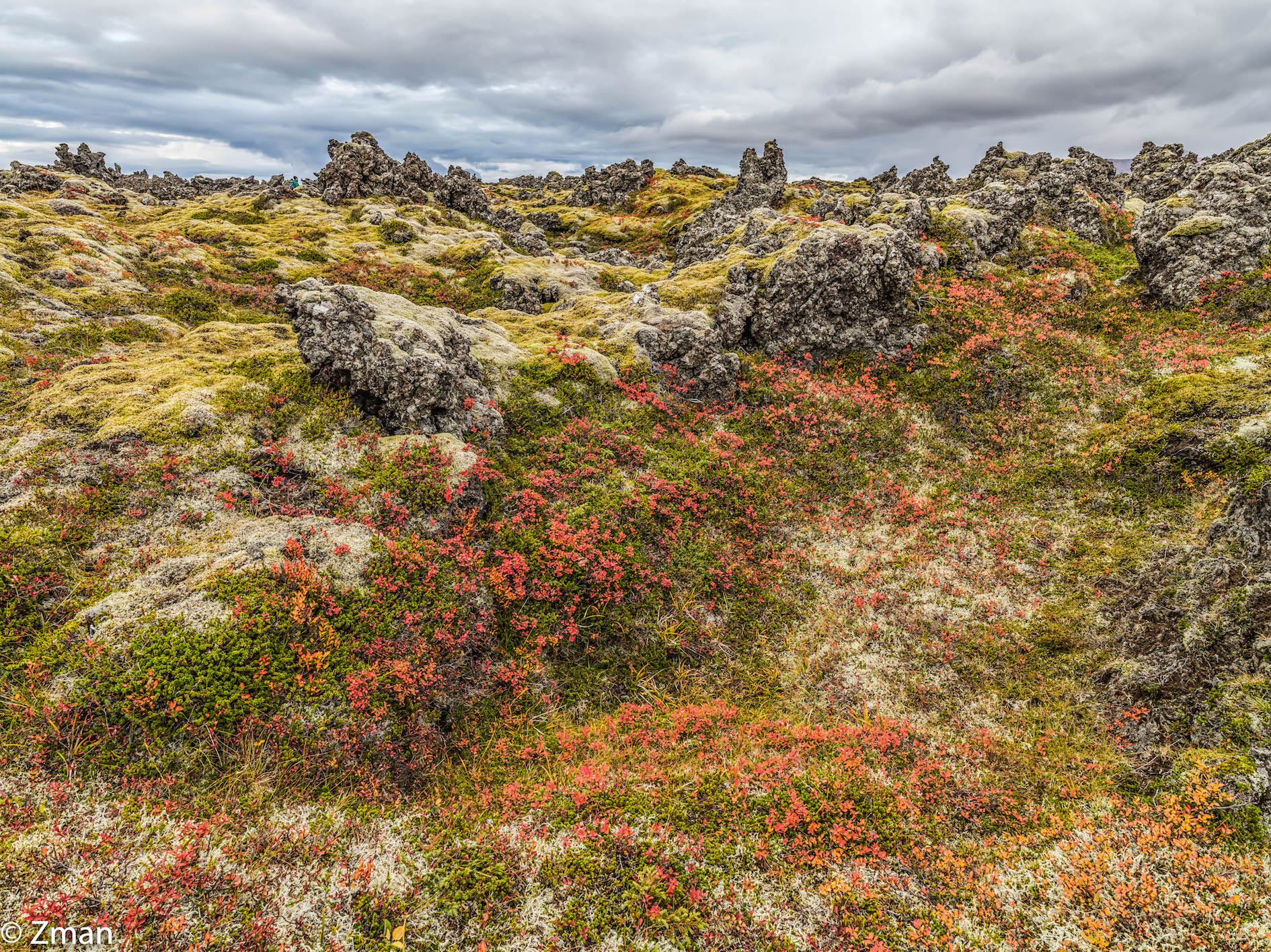 lavafield di Snaefellsnes